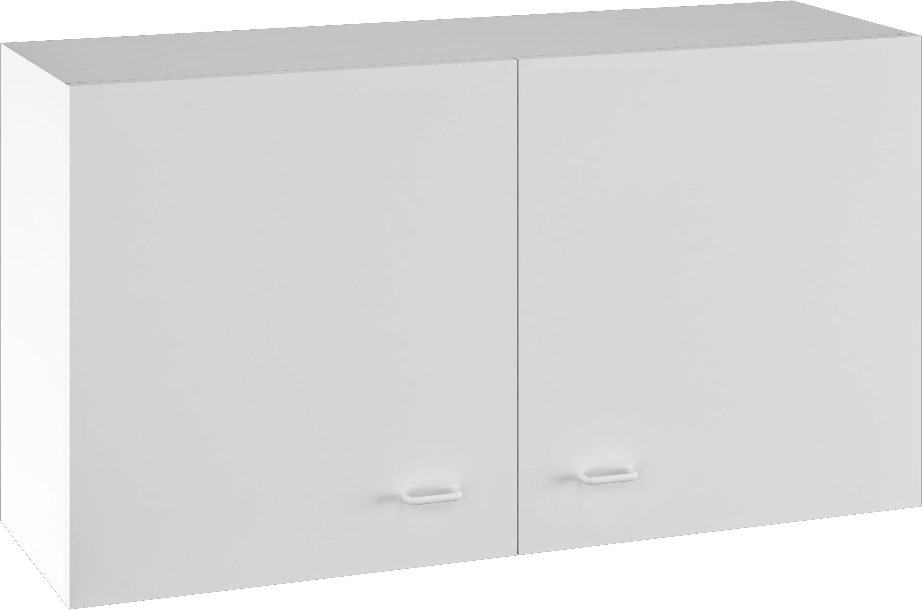 Flex-Well Hängeschrank Sellin (1-St) (B x H x T) 100 x 54,8 x 32 cm