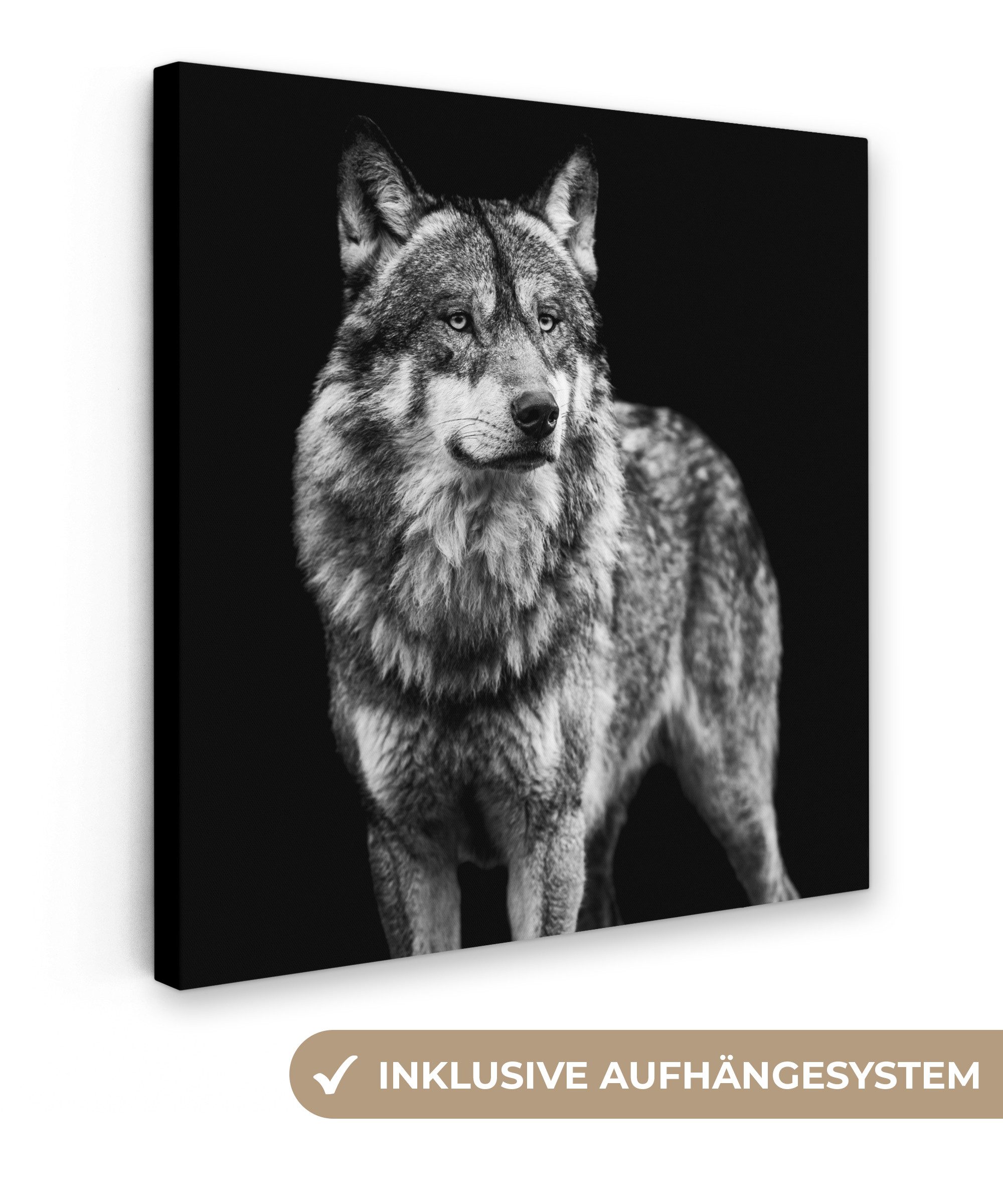 OneMillionCanvasses® Leinwandbild Wolf - Tiere - Wild - Schwarz - Weiß, Fot günstig online kaufen