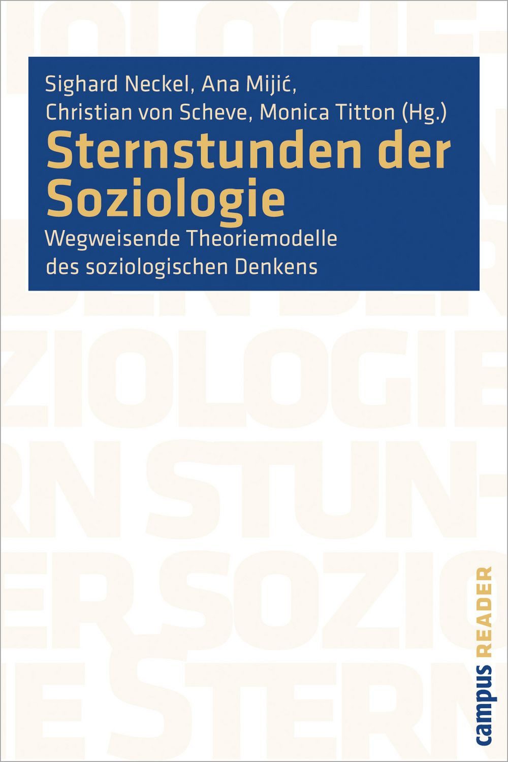 Fachbuch Sternstunden der Soziologie Wegweisende Theoriemodelle des soziologisc Sighard Neckel, Ana Mijic, Christian Scheve