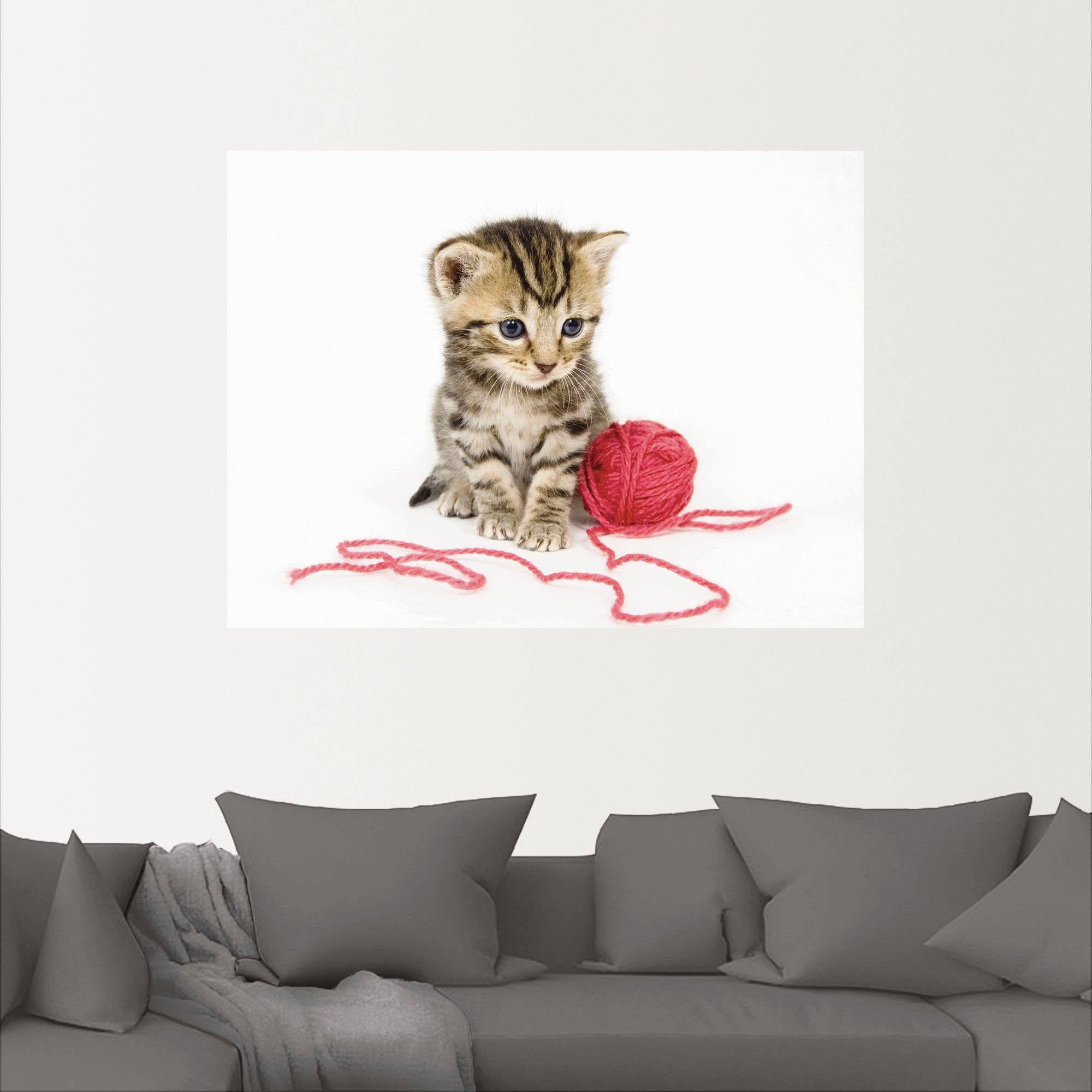 St), oder in Größen Wandbild (1 mit Leinwandbild, Poster Alubild, Haustiere versch. Artland Garnball, Kätzchen als Wandaufkleber rotem