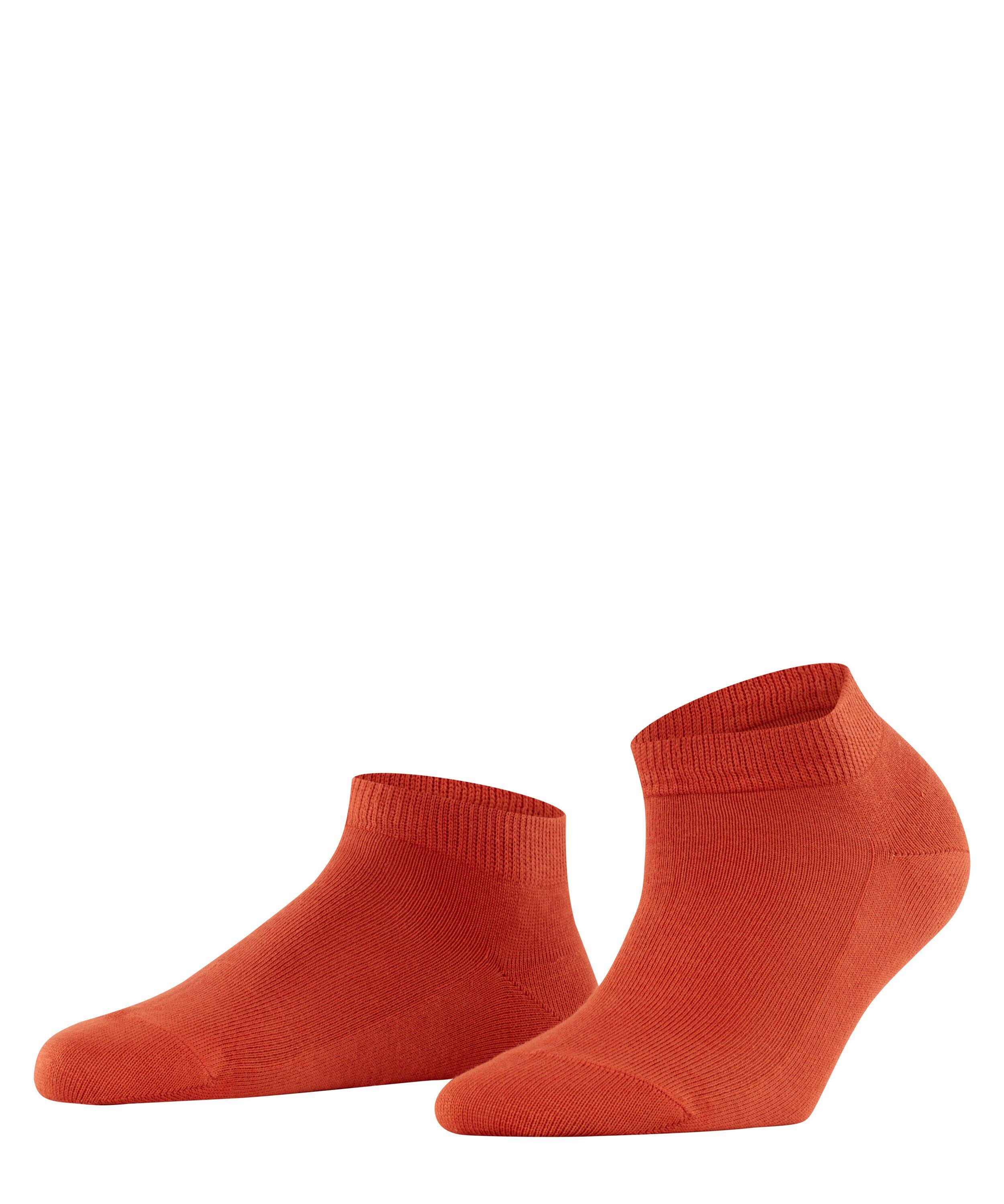 FALKE Шкарпетки для кросівок Family mit nachhaltiger Baumwolle