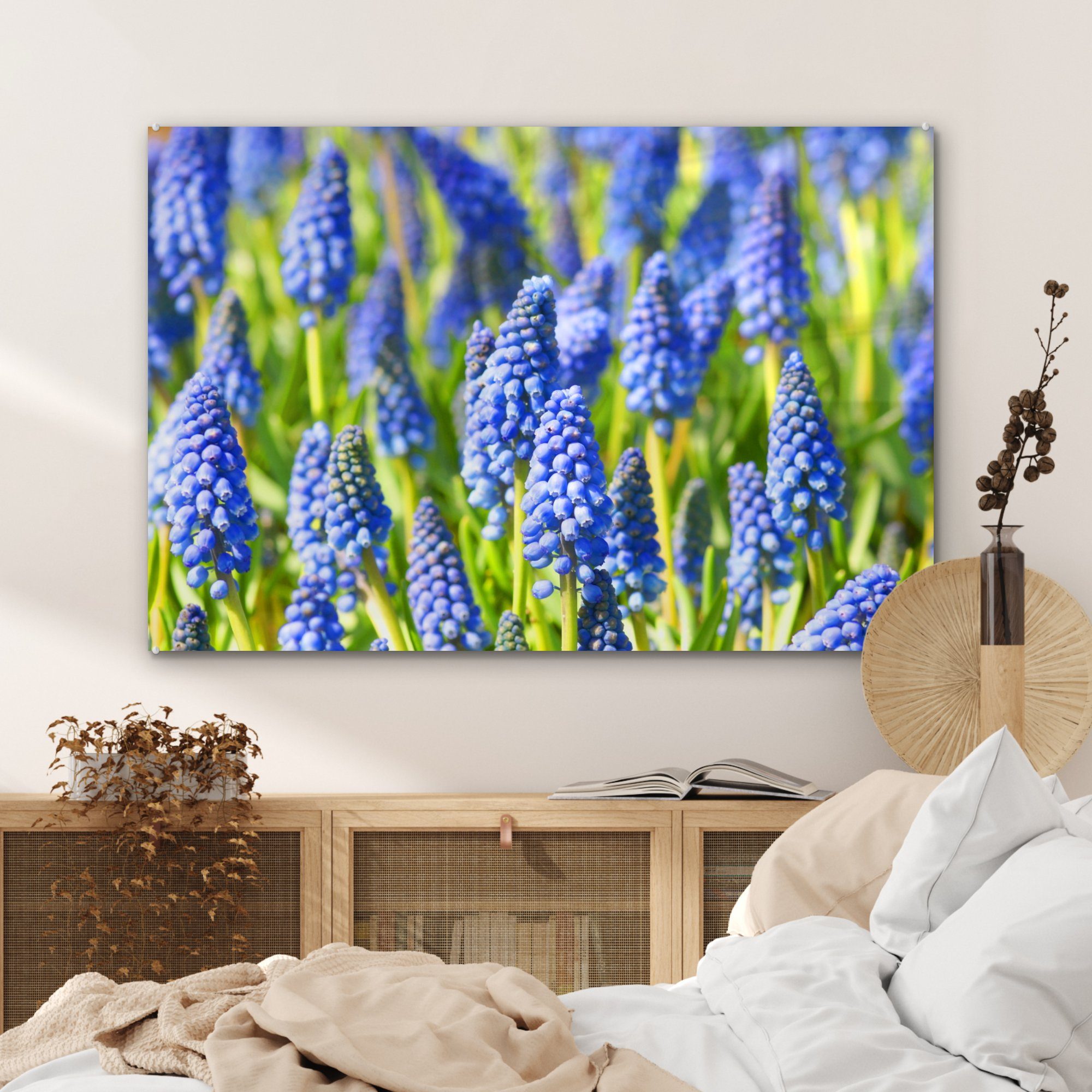 MuchoWow blauen Acrylglasbilder der Acrylglasbild St), Feld Schlafzimmer (1 Wohnzimmer mit Traubenhyazinthe, & Blüten
