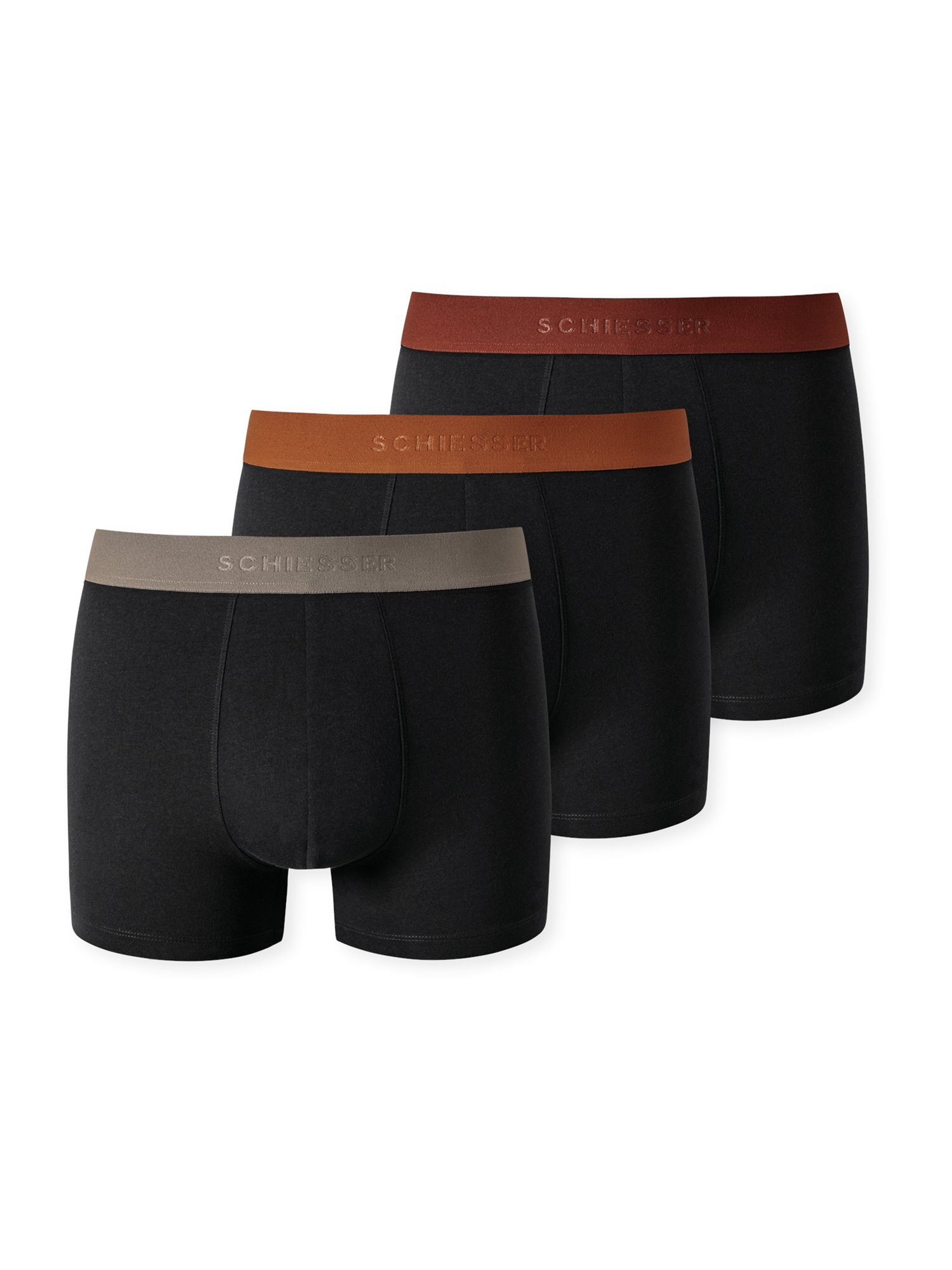 Trunk 955 Multi
