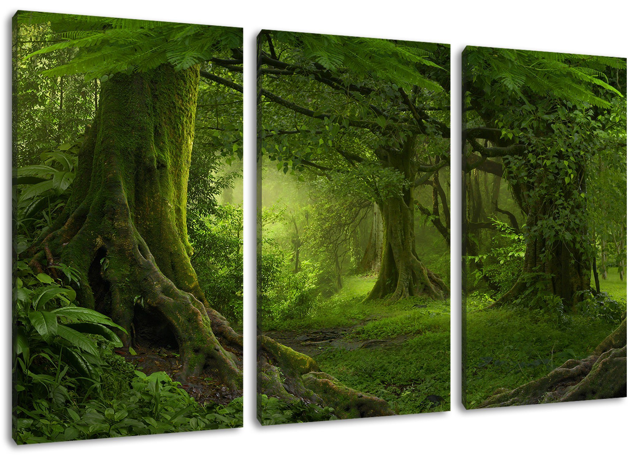 Pixxprint Leinwandbild Dschungel im Regenwald, Dschungel im Regenwald 3Teiler (120x80cm) (1 St), Leinwandbild fertig bespannt, inkl. Zackenaufhänger