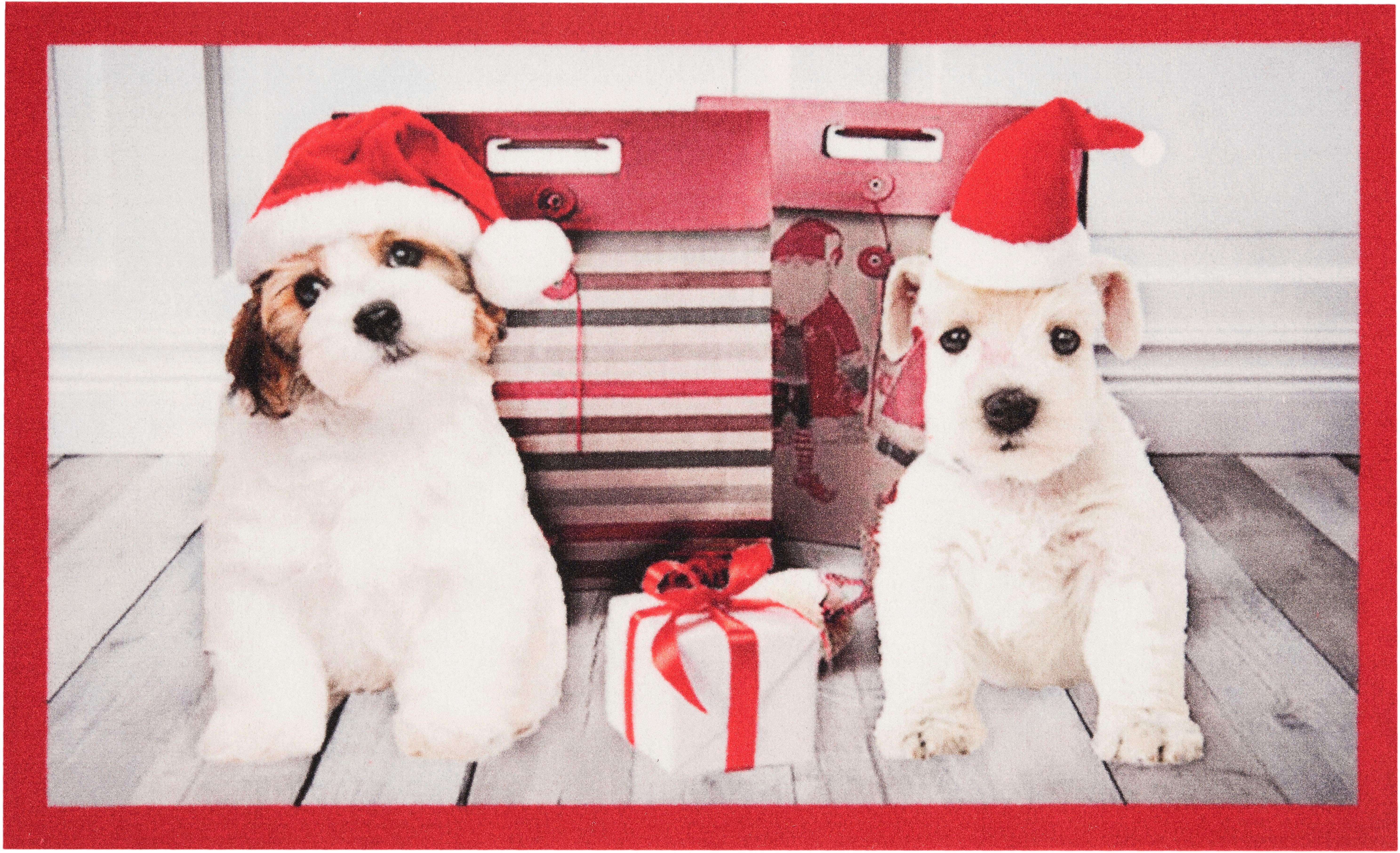 Dogs, mm, Christmas Home, HANSE rechteckig, Weihnachten, Motiv, Fußmatte Rutschfest, Tier Pflegeleicht, Waschbar Höhe: 7