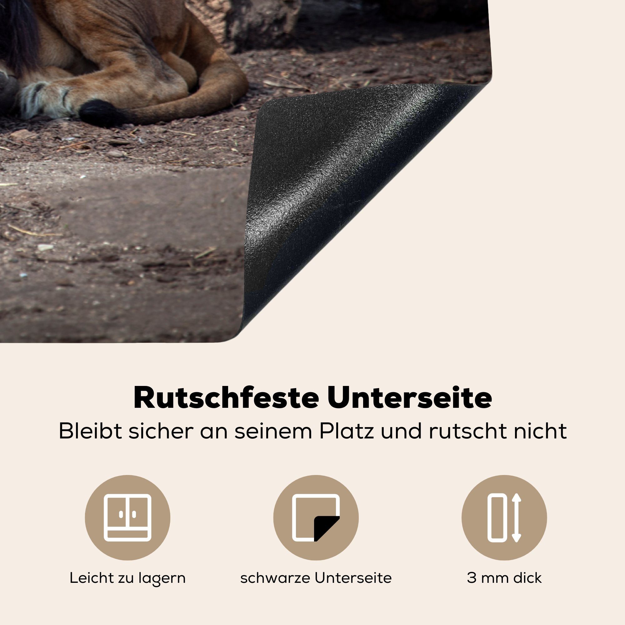 Herdblende-/Abdeckplatte für Tiere - küche, Vinyl, cm, Ceranfeldabdeckung (1 tlg), 81x52 Wild Farben, - MuchoWow Induktionskochfeld Schutz die