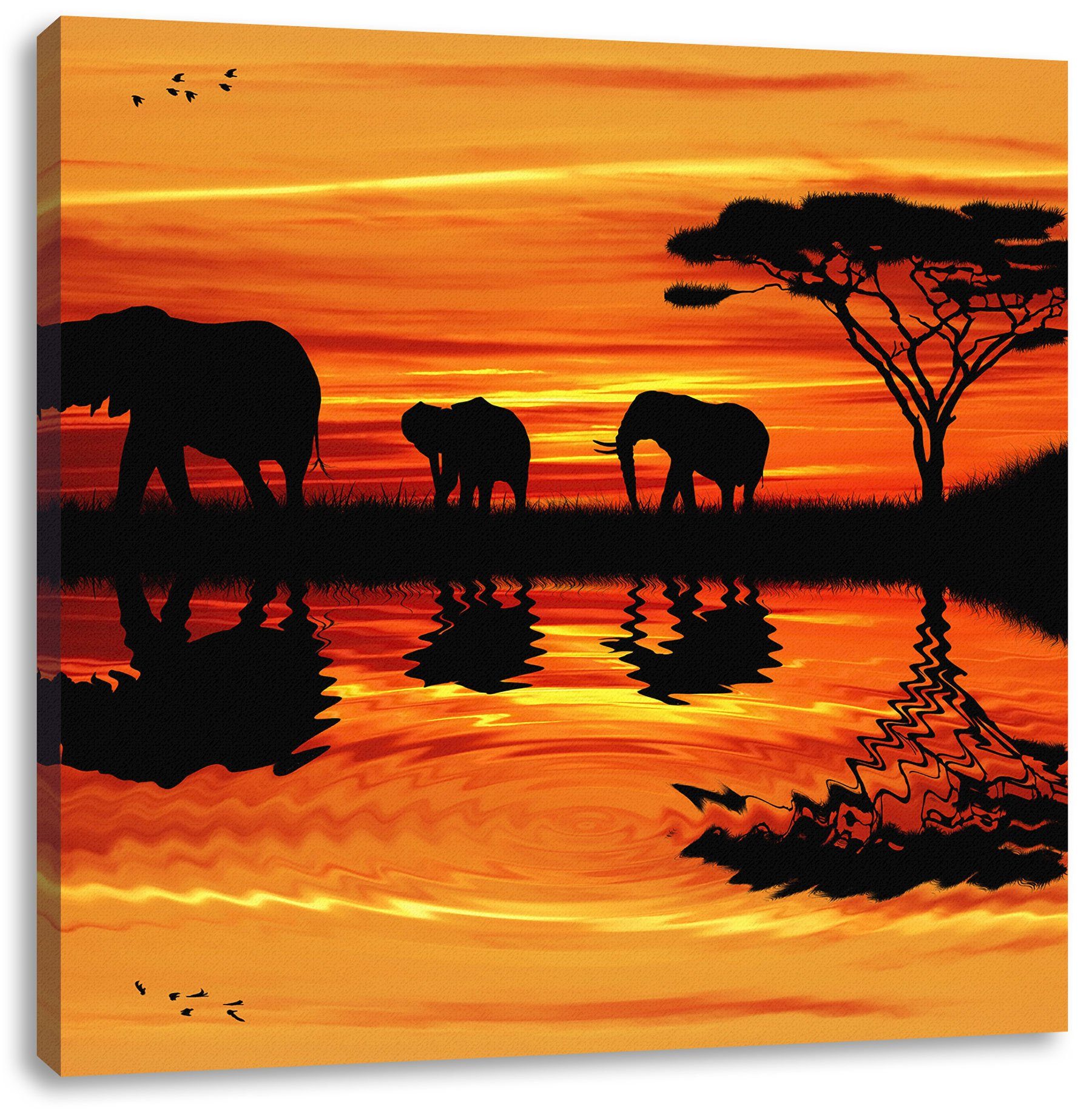 Leinwandbild Afrika Elefant in Sonnenschein