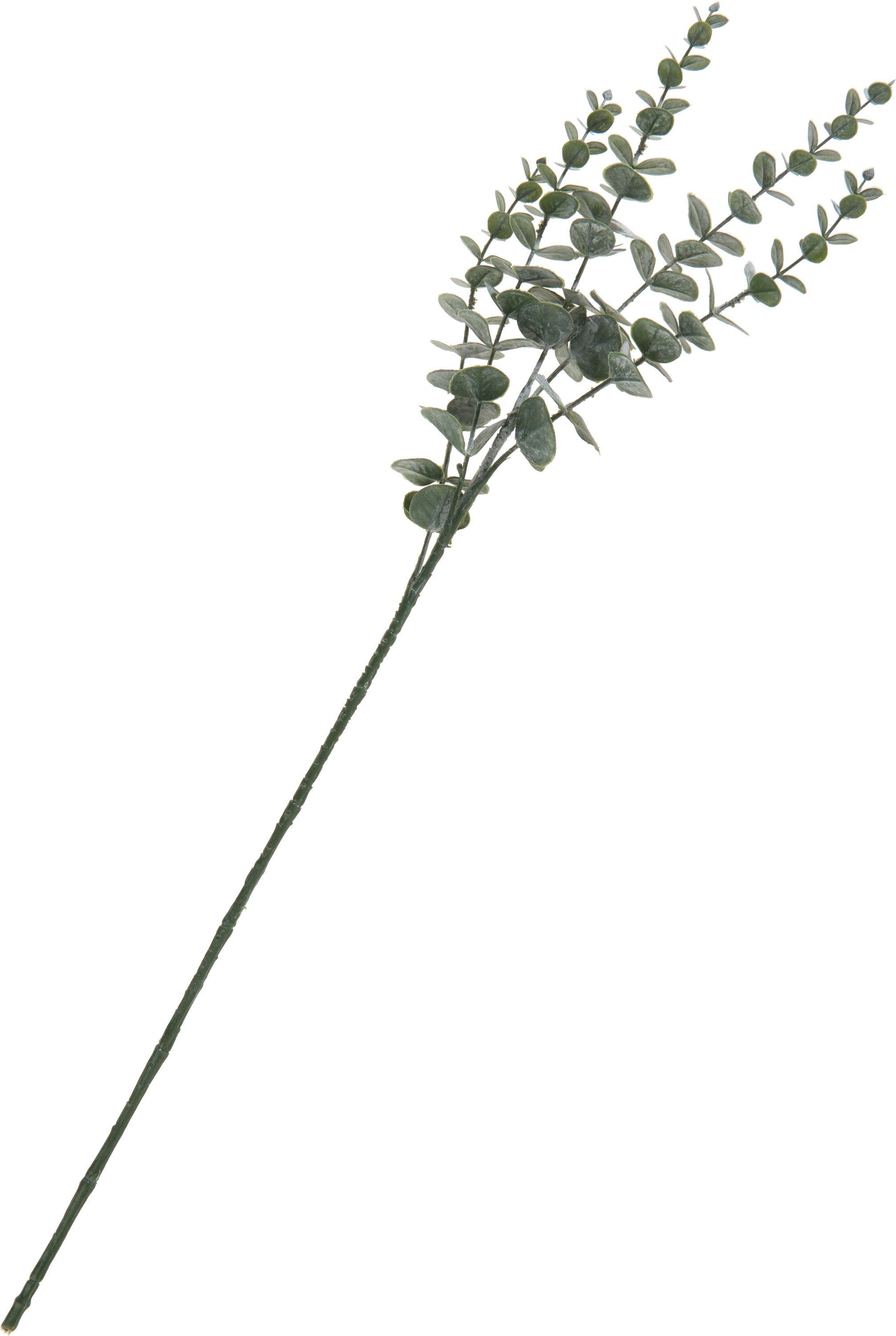 Kunstzweig Eukalyptus-Zweig beschneit, DPI, 73cm