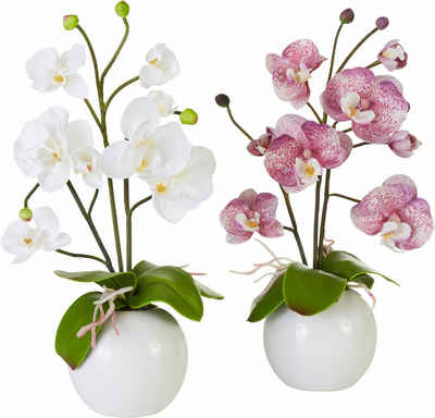 Kunstpflanze Orchidee Orchidee, I.GE.A., Höhe 35 cm