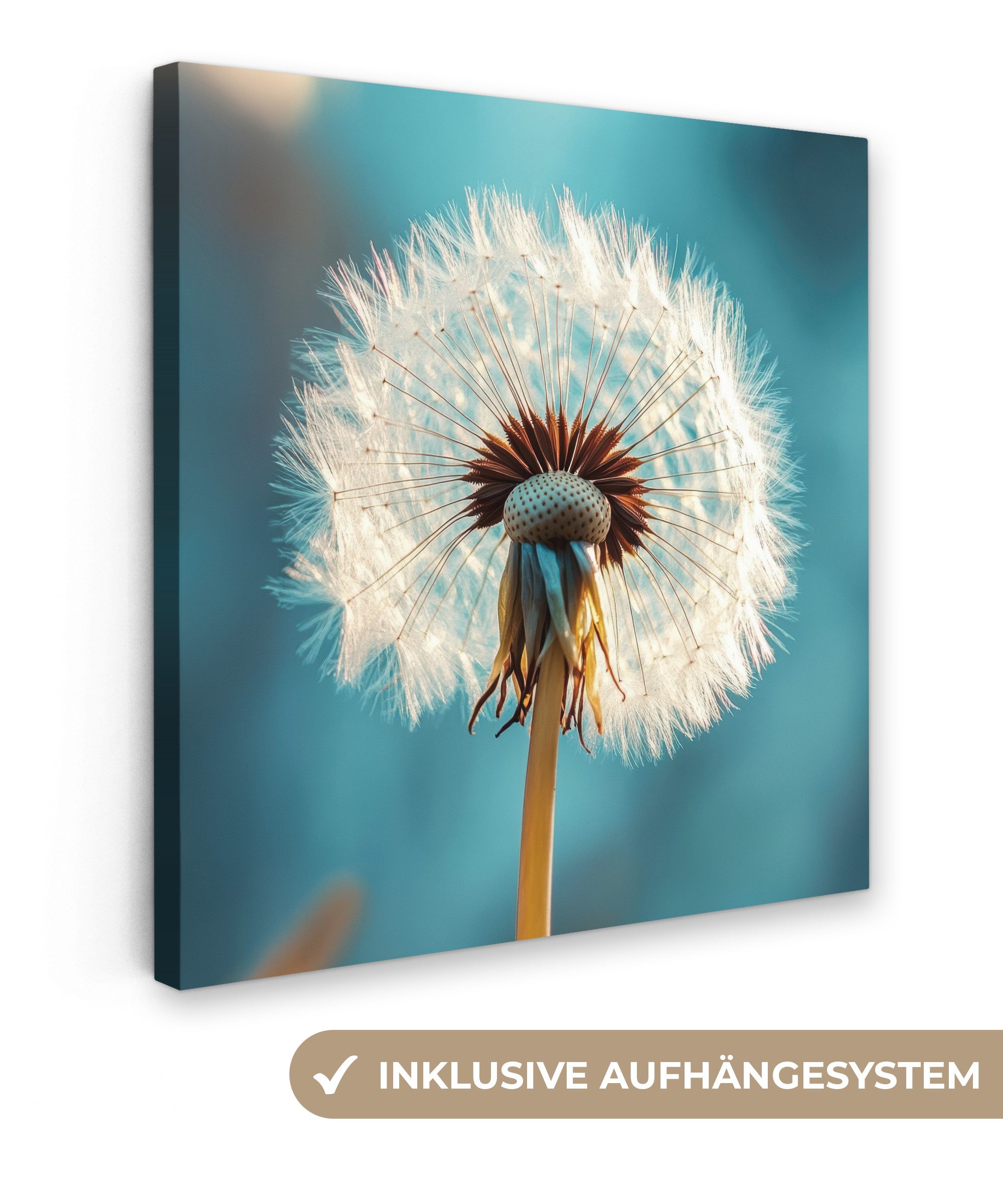 OneMillionCanvasses® Leinwandbild Löwenzahn - Natur - Blumen - Blau, Fotodr günstig online kaufen