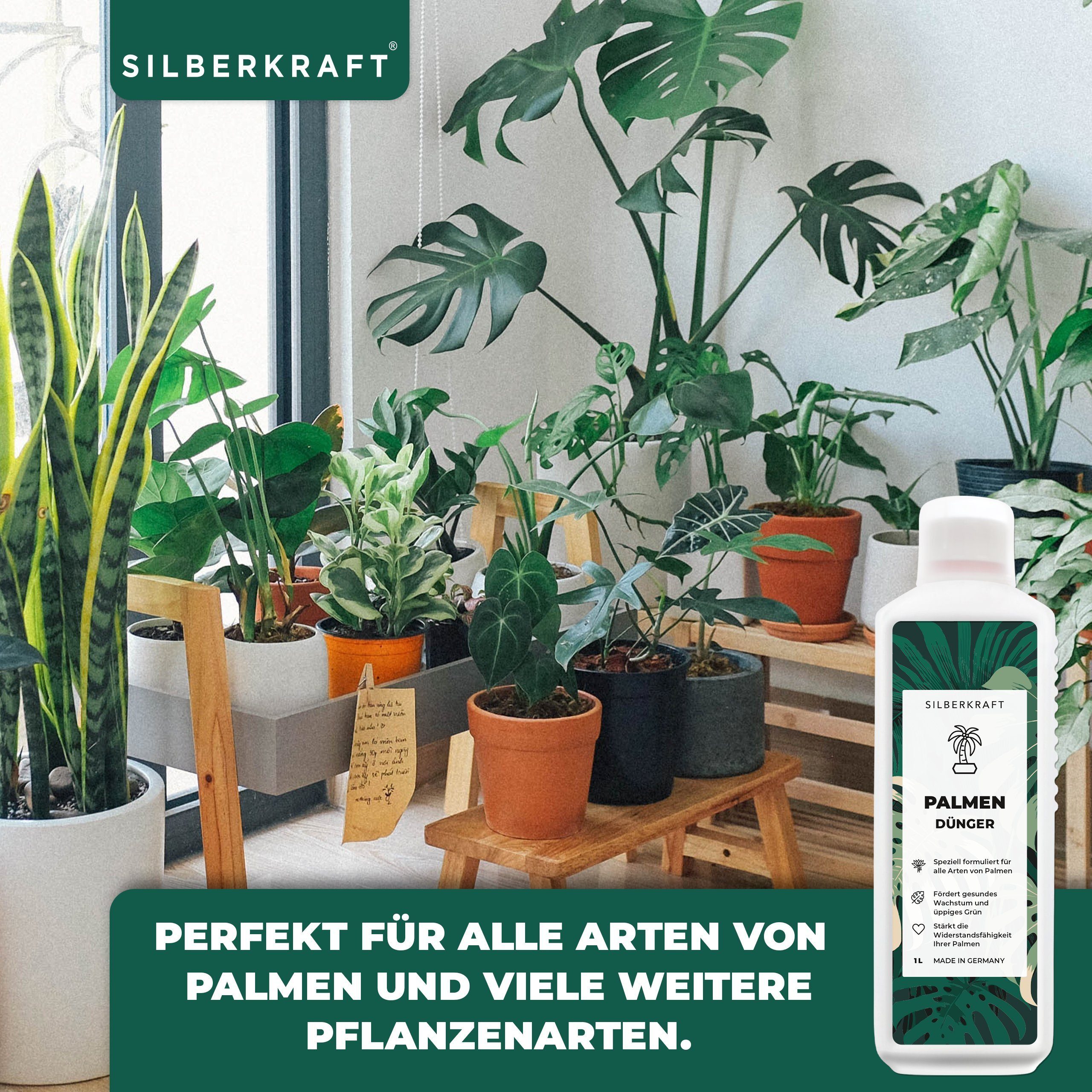 Silberkraft Pflanzendünger Palmendünger flüssig – Spezialdünger günstig online kaufen