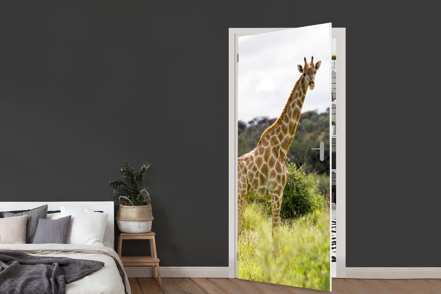Tür, Tier, cm Türtapete bedruckt, 75x205 Fototapete für MuchoWow Giraffe Türaufkleber, - - St), (1 Pflanzen Matt,