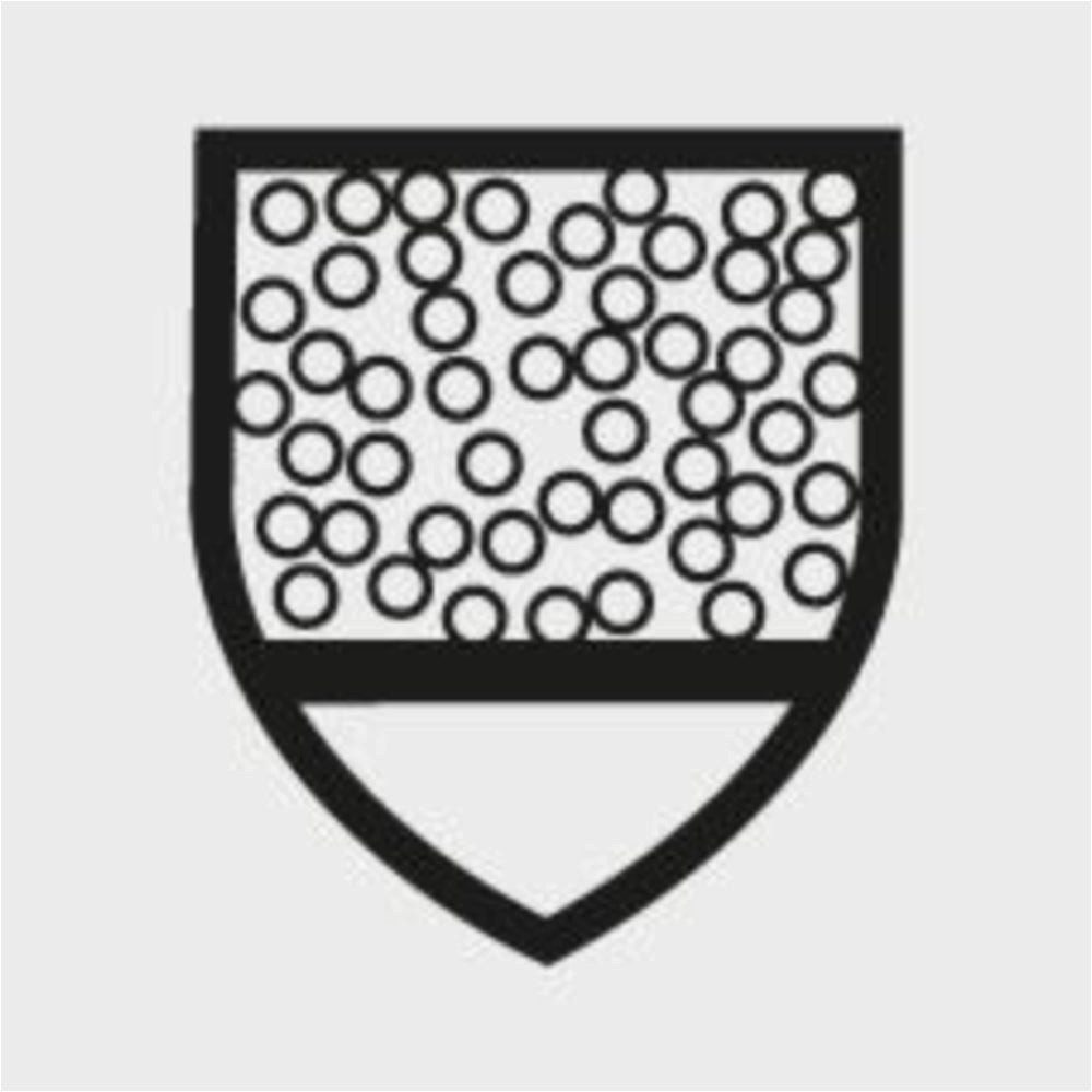 fortis Arbeitsoverall
