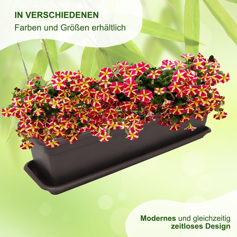 Thumbnail - Heimwerkercenter Balkonkasten MePla Balkonkasten Balcony 40cm, Untersetzer - Braun -