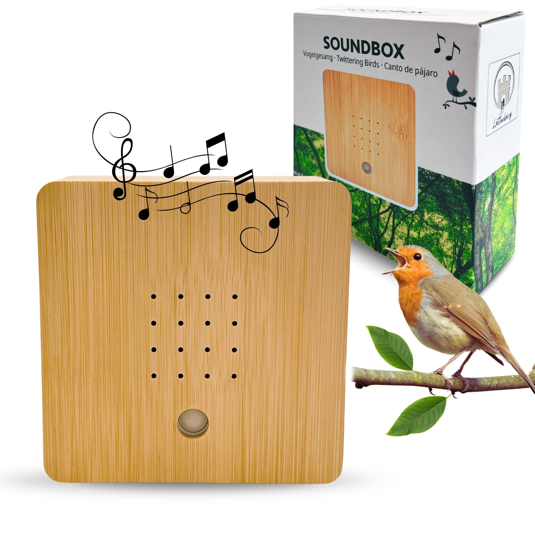 Lüttenburg Dekoobjekt Soundbox mit Vogelgesang Vogelzwitschern aus Bambus G günstig online kaufen