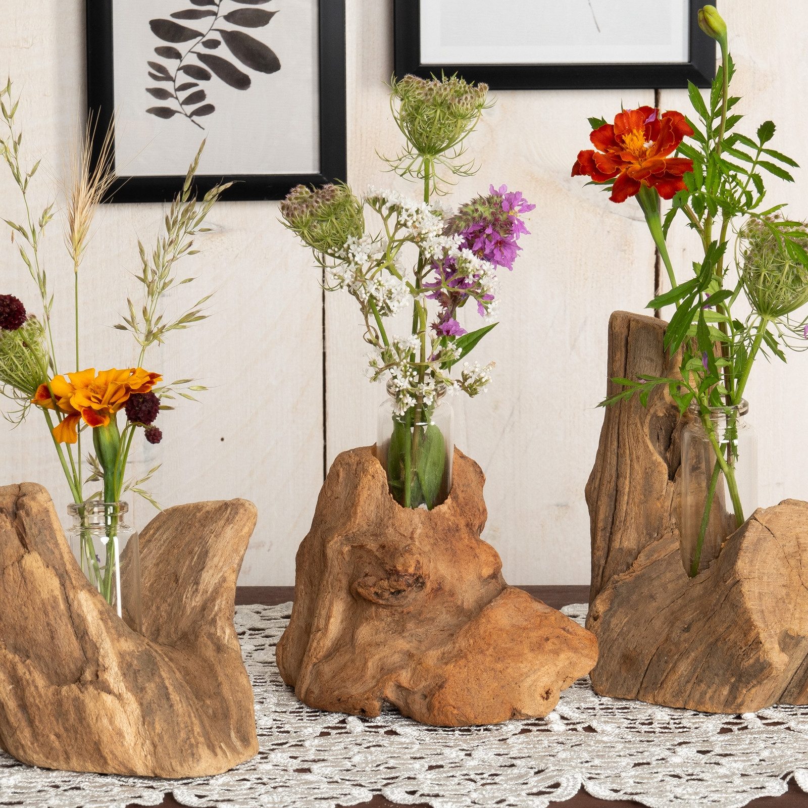 CREEDWOOD Wasserhyazinthenvase TREIBHOLZ MIT REAGENZGLAS VASE "YUMA", Wurzel Blumen Vase, Tischvase