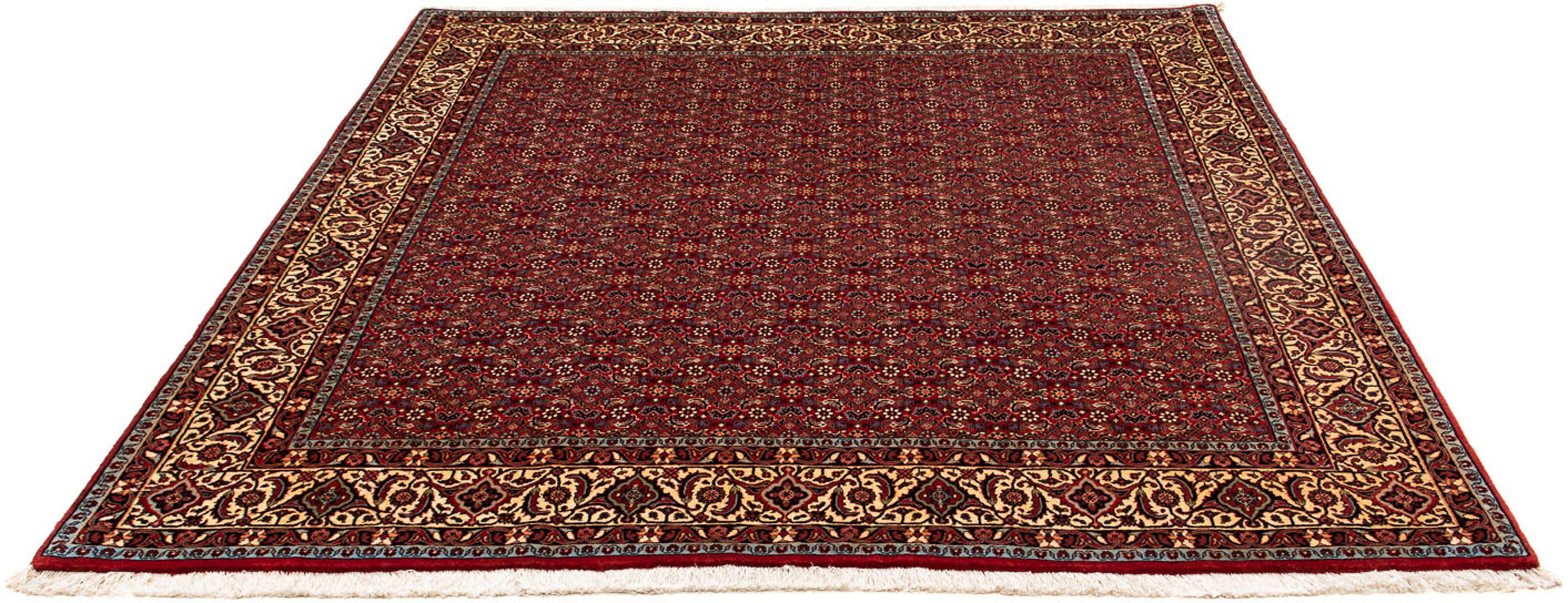 Orientteppich Perser - Bidjar quadratisch - 207 x 200 cm - dunkelrot, morgenland, quadratisch, Höhe: 15 mm, Wohnzimmer, Handgeknüpft, Einzelstück mit Zertifikat