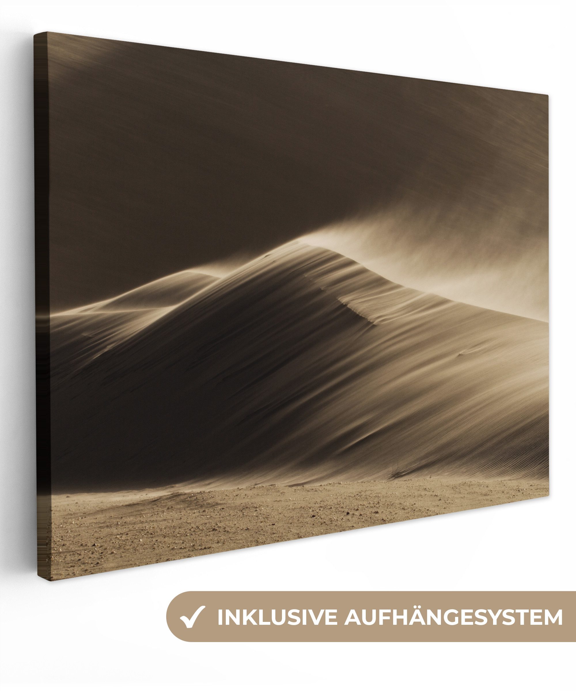 Wüste - Sand - Natur - Düne