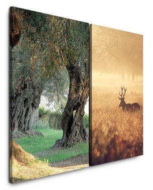 Sinus Art Leinwandbild 2 Bilder je 60x90cm Bäume Hirsch Friedvoll Friedlich Beruhigend Natur alter Olivenbaum