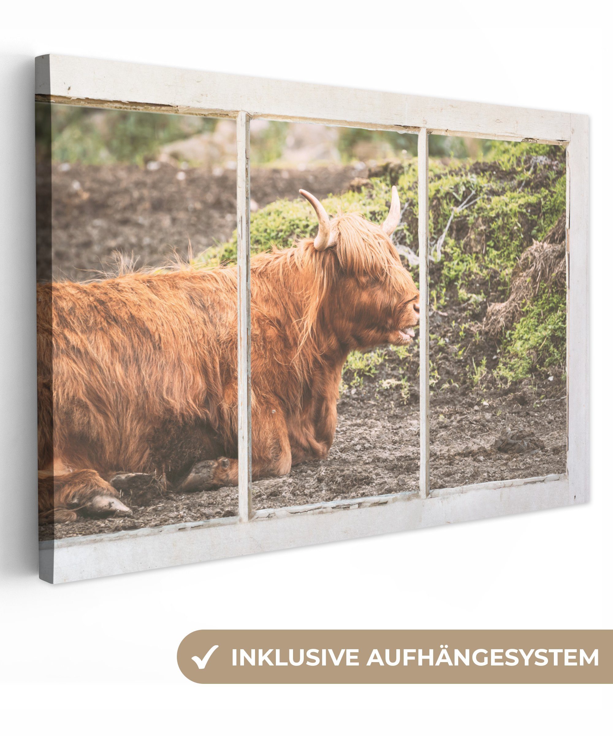 OneMillionCanvasses® Leinwandbild Schottische Highlander - Ansicht - Natur, (1 St), Wandbild Leinwandbilder, Aufhängefertig, Wanddeko, 30x20 cm