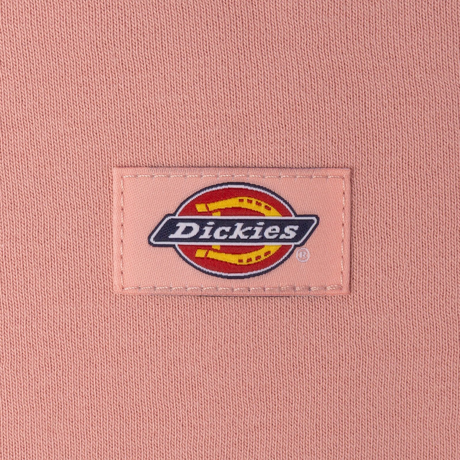 Hoodie Hoodie Dickies Oakport
