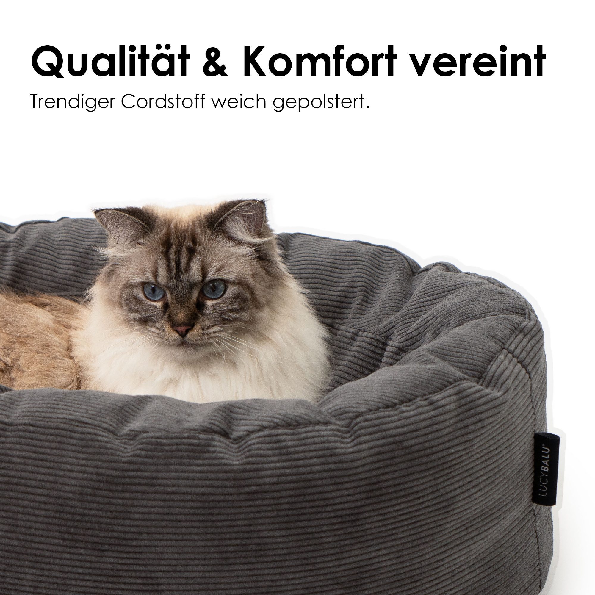 LucyBalu Tierbett DINGHY Katzenbett waschbar, Katzen Schlafplatz, Katzenkissen – Bild 4 von 5