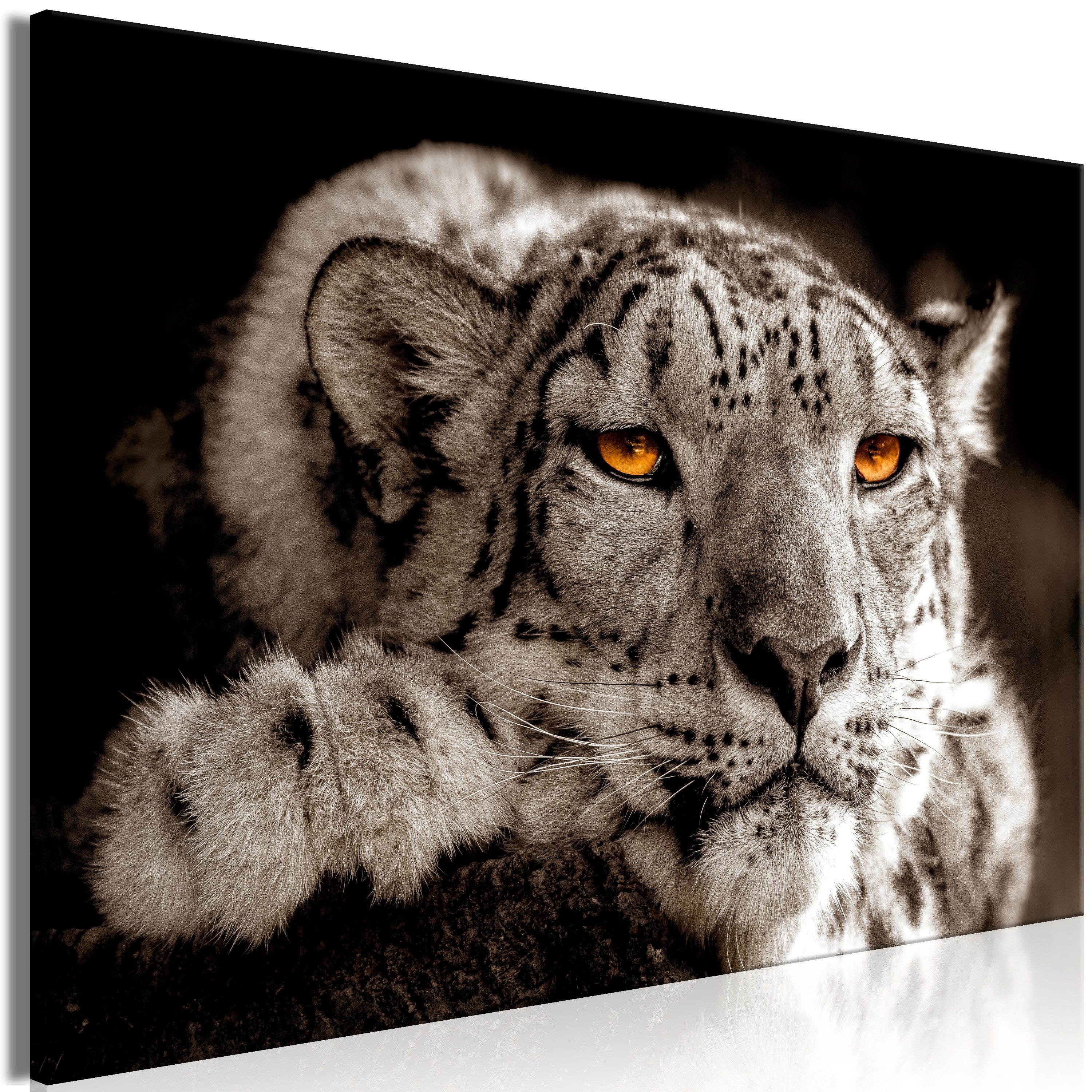 Artgeist Wandbild Magic Eyes (1 Part) Wide