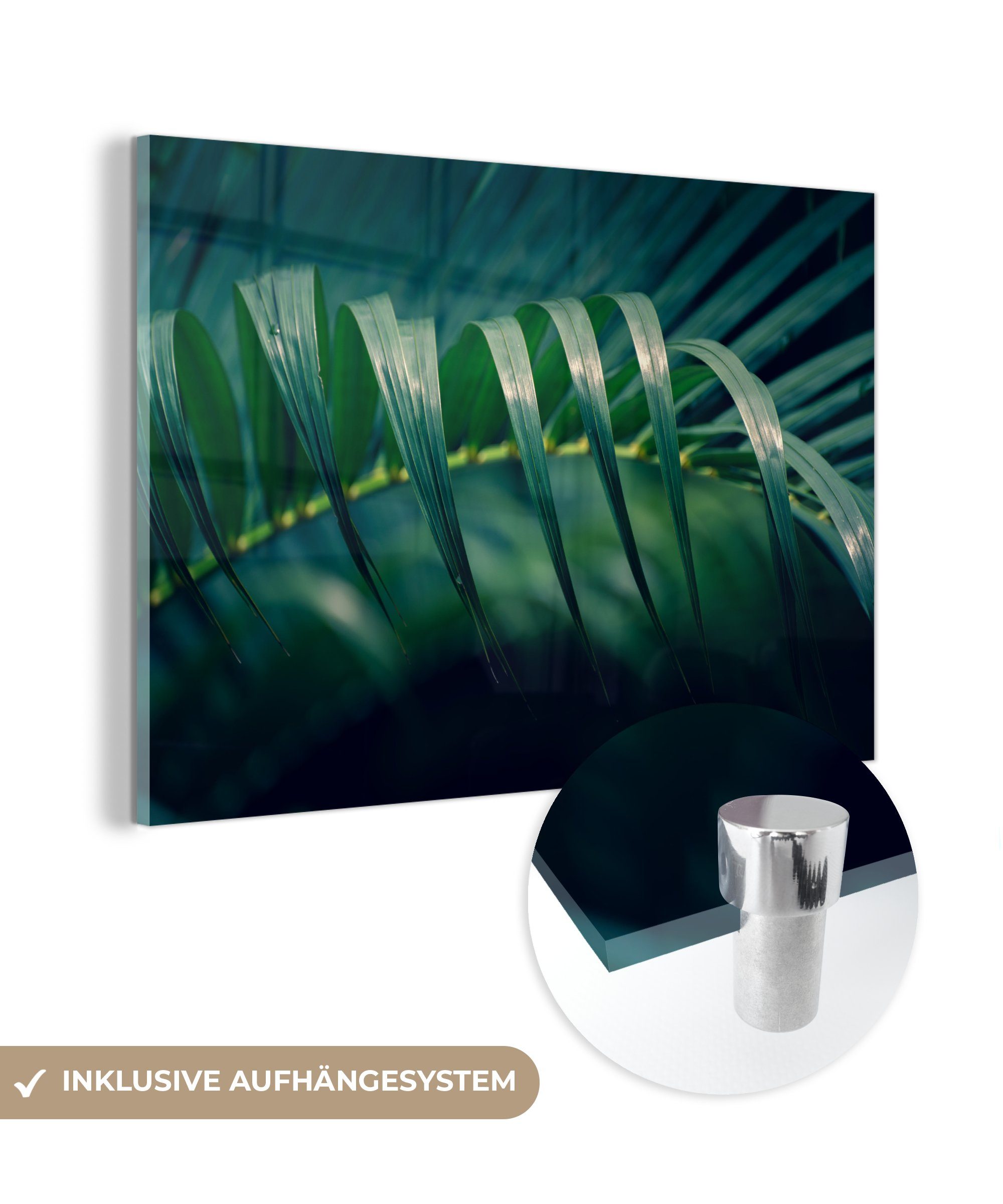 MuchoWow Acrylglasbild Tropische Palme, (1 St), Acrylglasbilder Wohnzimmer & Schlafzimmer