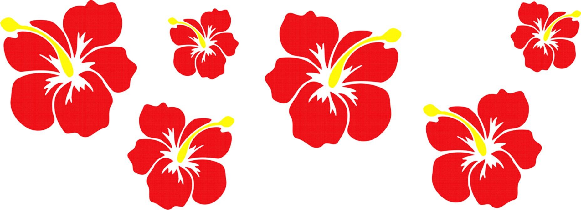 Hermann Schütz Aufkleber Aufkleber Hibiskusblüten-Set 490 x 160 mm