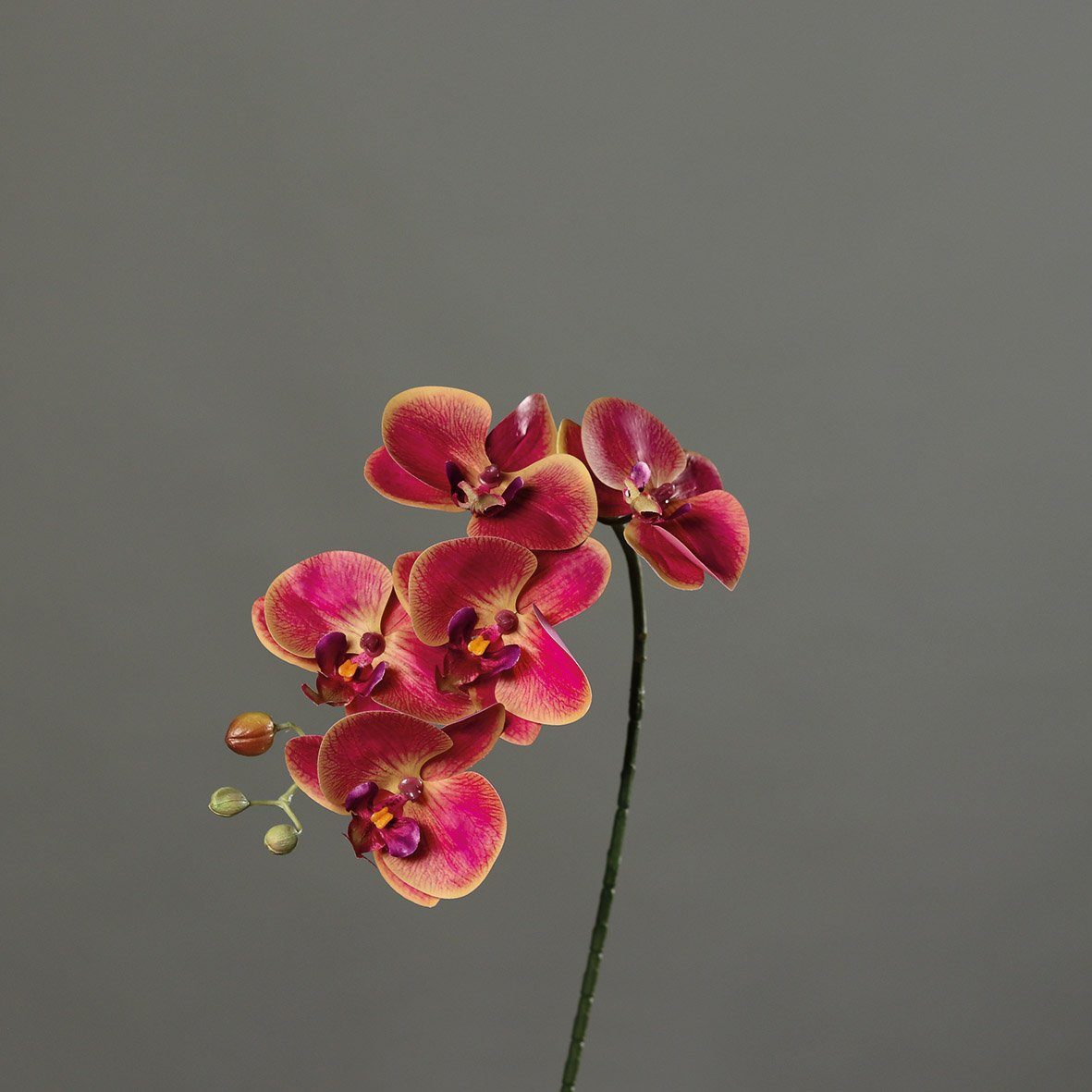 DPI Wunderschöne Orchidee Kunstblume L52 cm, Phalaenopsis Kunstblume