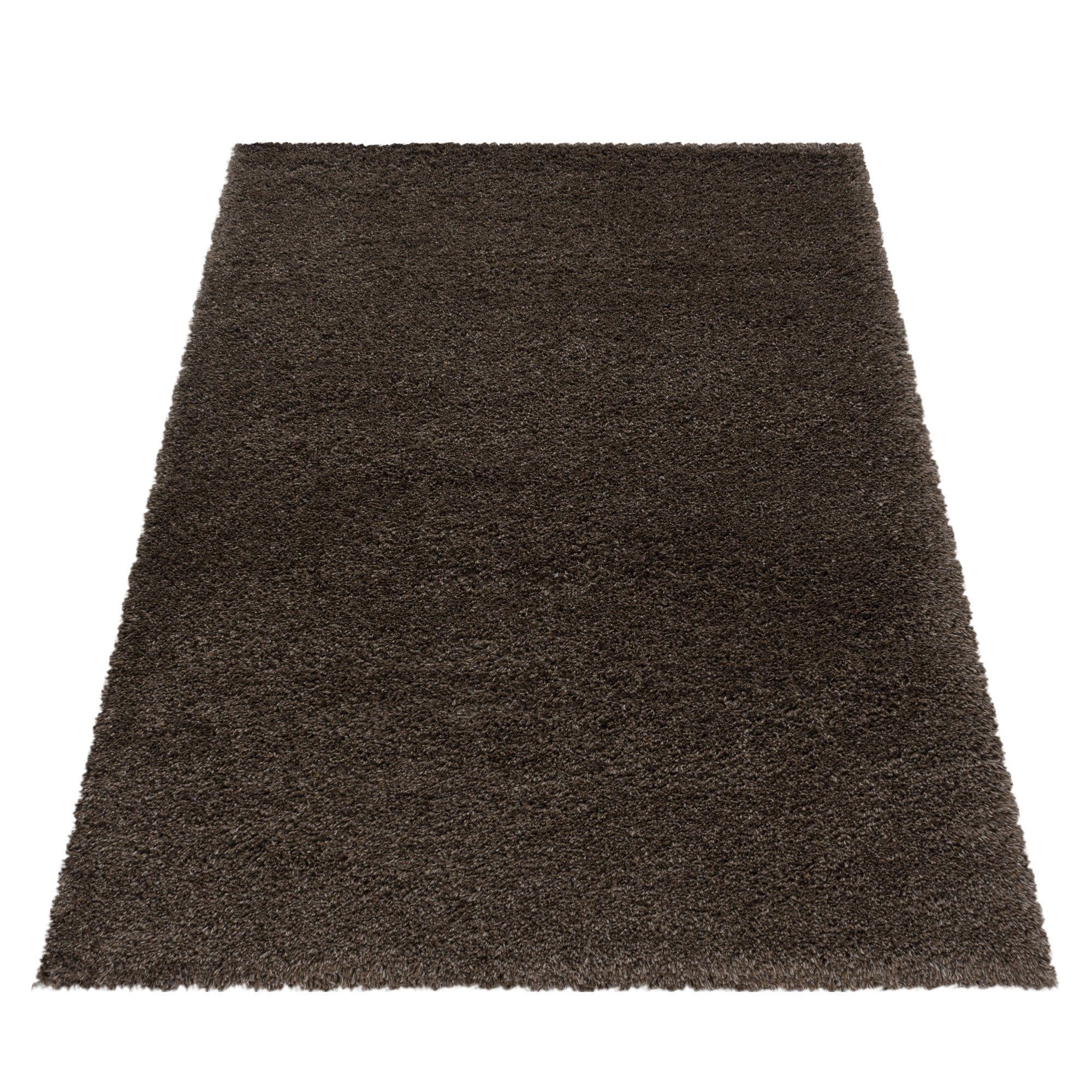 Stilvoll Günstig Hochflor-Teppich Teppich für den günstig online kaufen