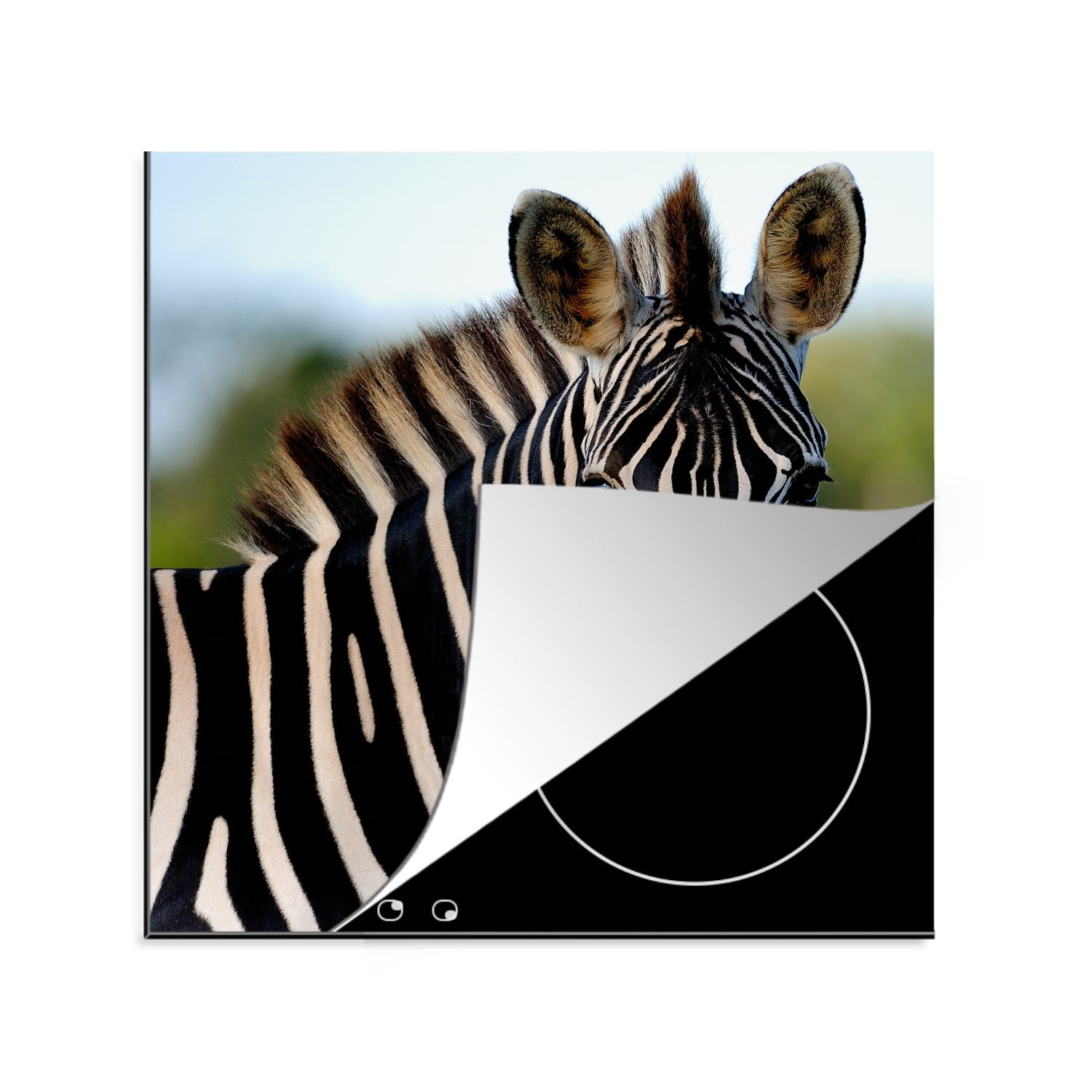 MuchoWow Herdblende-/Abdeckplatte Nahaufnahme Zebra, Vinyl, (1 tlg), 78x78 cm, Ceranfeldabdeckung, Arbeitsplatte für küche