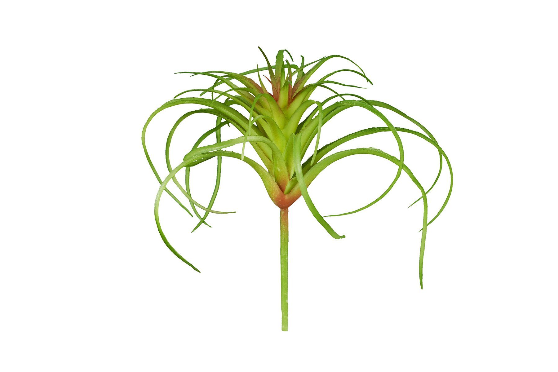 ReptiZoo Terrarium ReptiZoo Kunststoffpflanze (Tillandsia) ca. 12 cm TP060S