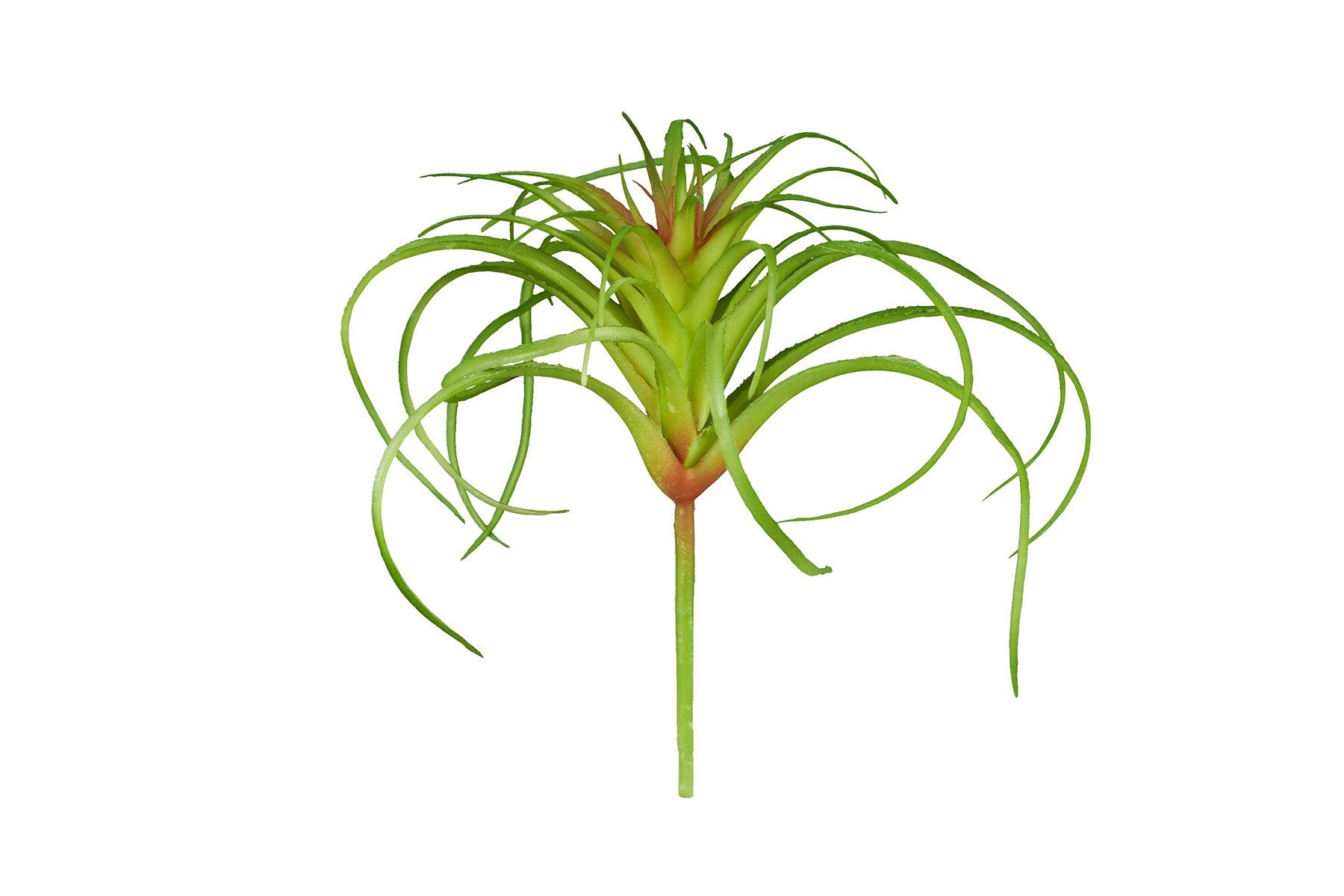 ReptiZoo Terrariendeko ReptiZoo Kunststoffpflanze "Tillandsia" – Terrariendekoration (12 cm) von ReptiZoo
