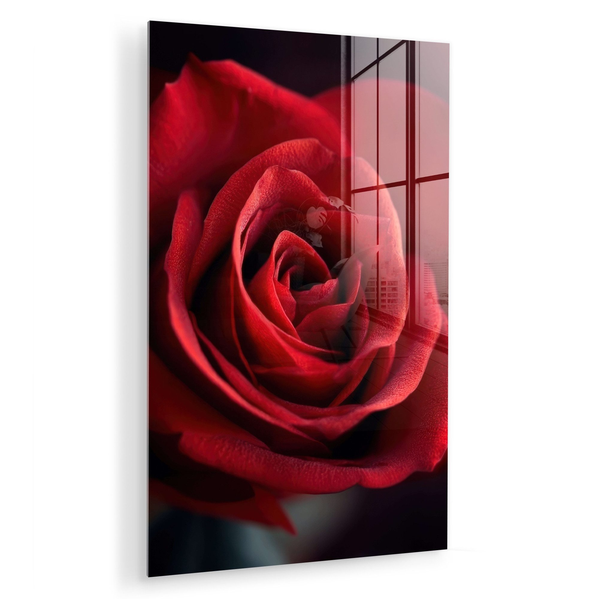MuchoWow Acrylglasbild Rot - Rose - Romantisch, Inkl. Aufhängung, Dekorativ günstig online kaufen