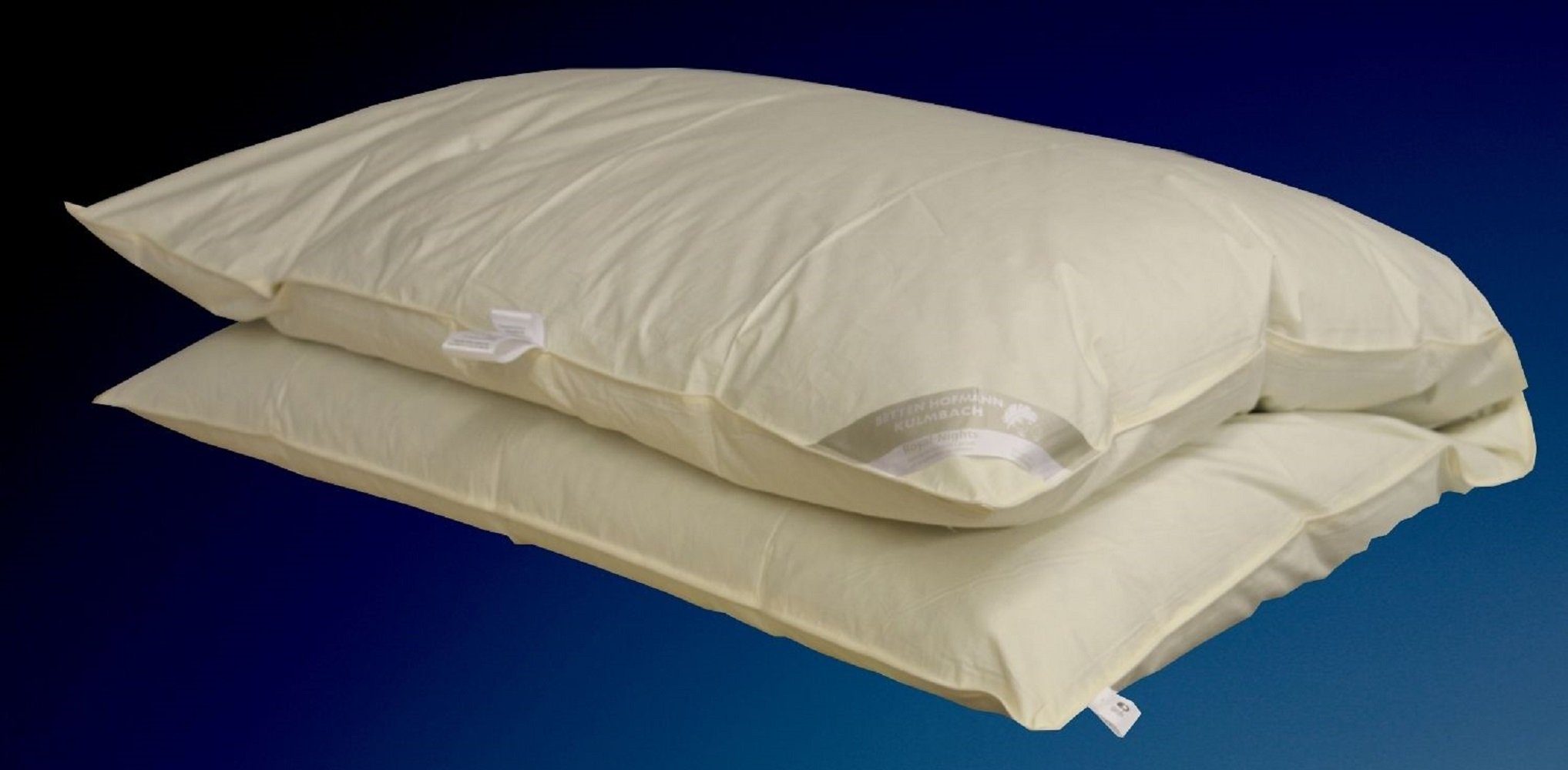 Betten Hofmann Daunenbettdecke Hofmann Franken Oberbett Daunenbett Ballonbe günstig online kaufen