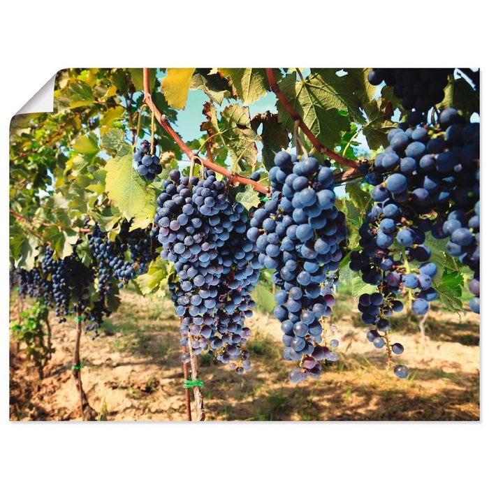 Artland Wandbild Toskanische Weintrauben Süßspeisen (1 St) als Alubild Leinwandbild Wandaufkleber oder Poster in versch. Größen
