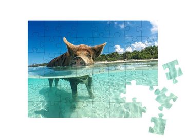 puzzleYOU Puzzle Schwein auf den Bahamas, Karibik, 48 Puzzleteile, puzzleYOU-Kollektionen Karibik, 48 Teile, 500 Teile, 2000 Teile