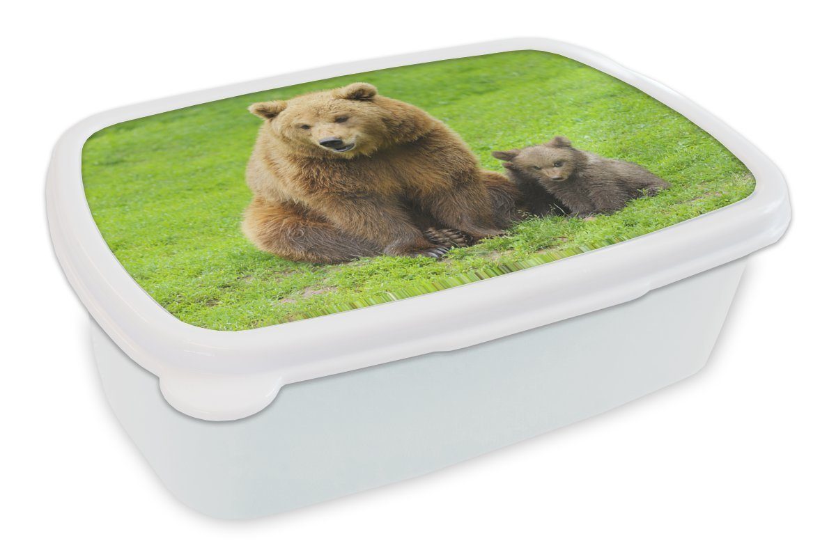 MuchoWow Lunchbox Bär - Gras Brotdose, Kunststoff, Jungs Erwachsene, Brotbox Mädchen für für - Kinder weiß Junge, und (2-tlg), und