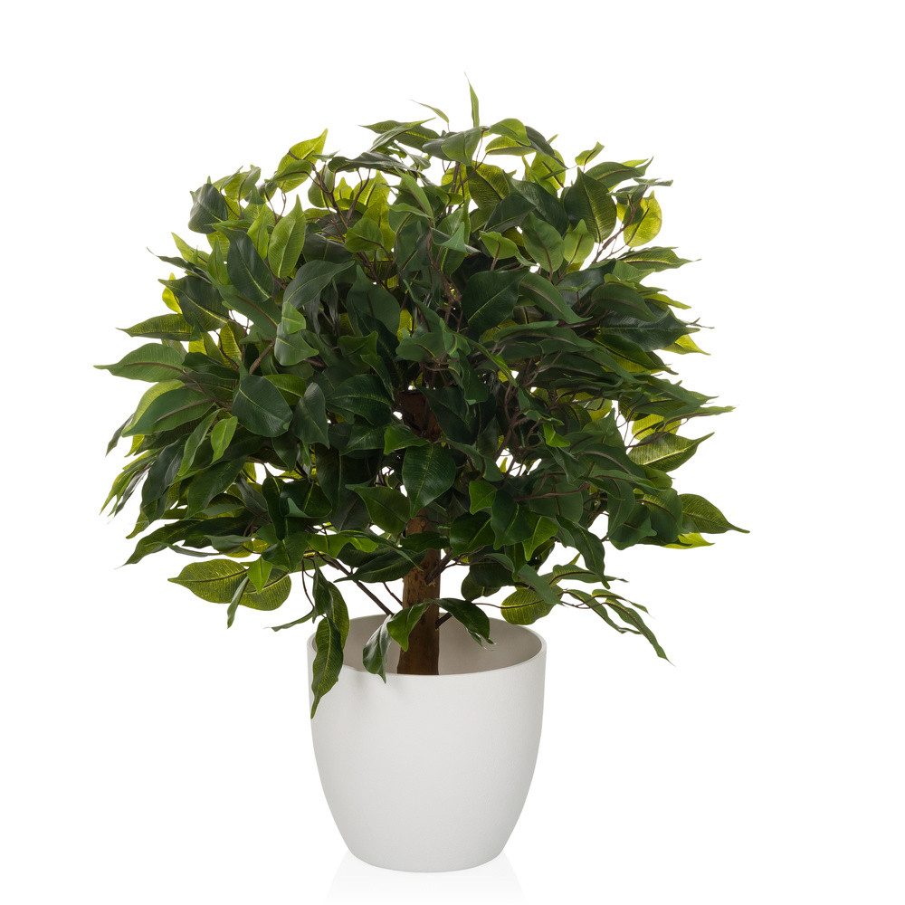 Kunstpflanze Kunstpflanze FICUS II Kunststoff Birke, hjh OFFICE, Höhe 65.0 günstig online kaufen