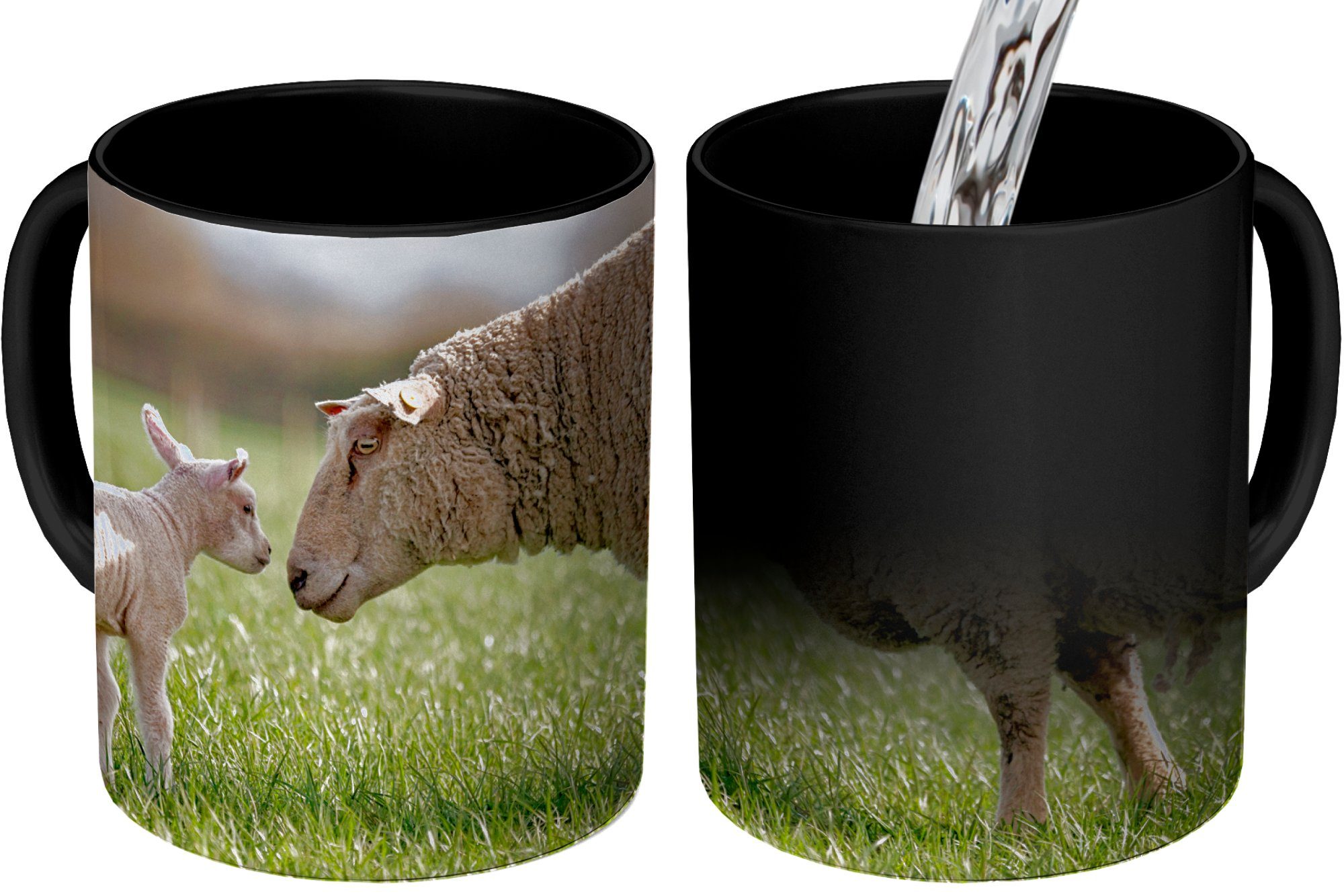Zaubertasse, Teetasse, Geschenk - MuchoWow Gras Frühling, Tasse Schafe Keramik, - Kaffeetassen, Farbwechsel,