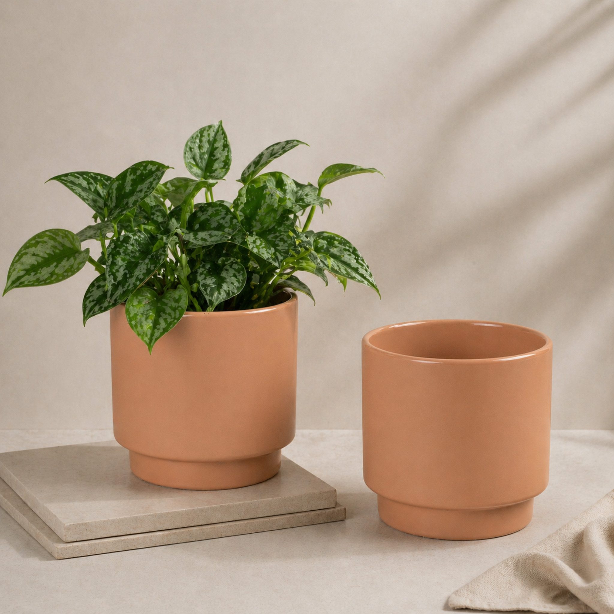 matches21 HOME & HOBBY Blumentopf Übertöpfe in Ø 10,5 cm, Beige Blumentöpfe im 2er Set (2 St), Blumenübertöpfe aus Keramik für Zimmerpflanzen