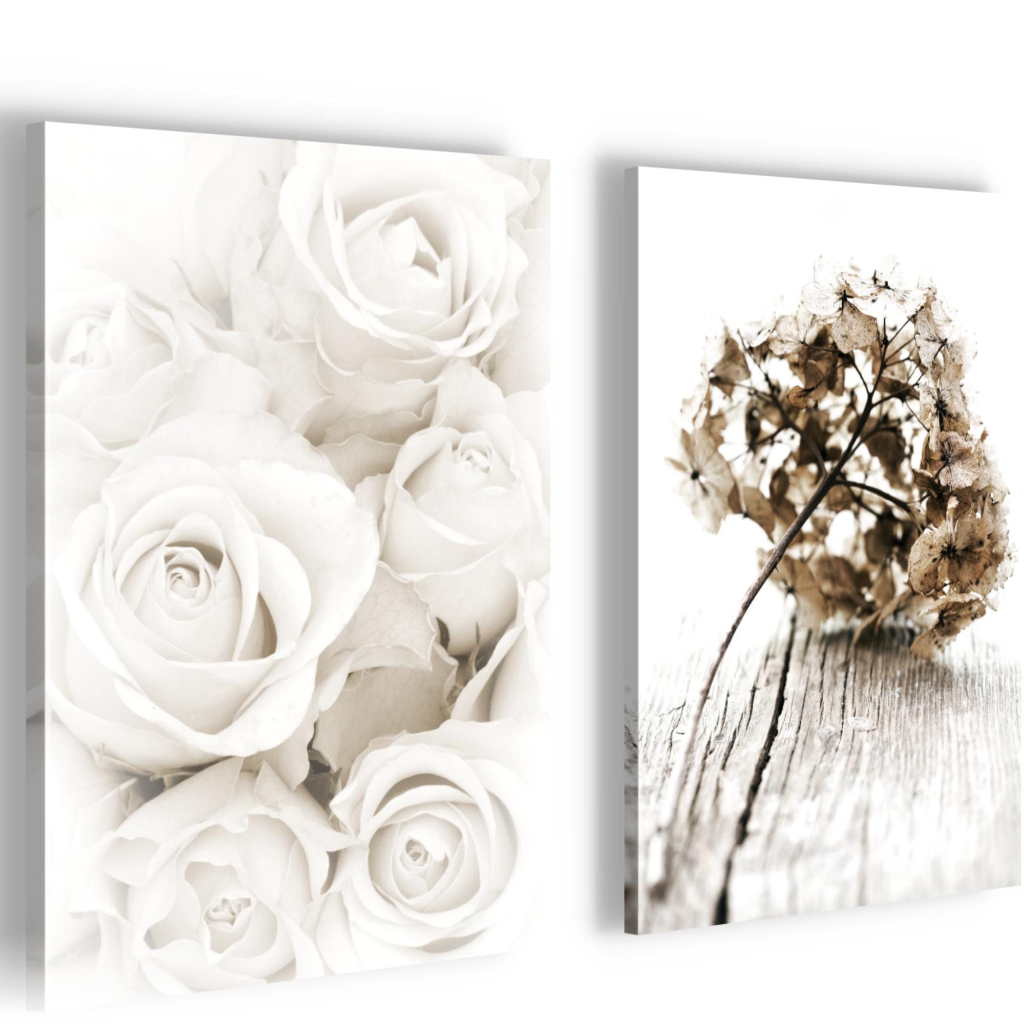 Novart Wandbild Blumen 2 Teilig für Schlafzimmer Büro 2 Bilder Weiß Rosen N023120a, 20 x 30 cm - 2 Bilder mit Rahmen
