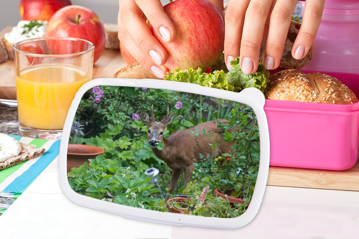 MuchoWow Lunchbox Hirsche - Garten, Brotbox für Kunststoff, Snackbox, Kunststoff rosa Mädchen, Erdbeere (2-tlg), Brotdose Kinder, Erwachsene, 