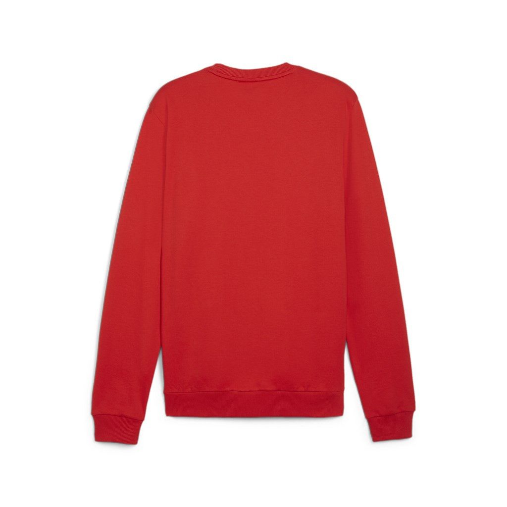 PUMA Kapuzenpullover Herren teamGOAL Casuals Crew günstig online kaufen