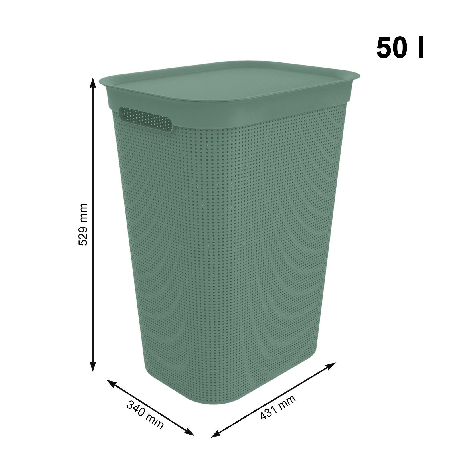 grün (PP) Deckel BPA-frei mit Griffen, 50l und ROTHO Wäschekorb Mistletoe 2 2er-Set Kunststoff Wäschesammler Brisen