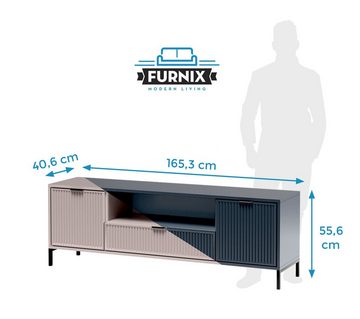 Furnix TV-Board TV-Kommode LINKI LS4 in Industrial, Loft-Design Blickfang, mit 2 Türen und 1 Schublade, B165,3 x H55,6 x T40,6 cm
