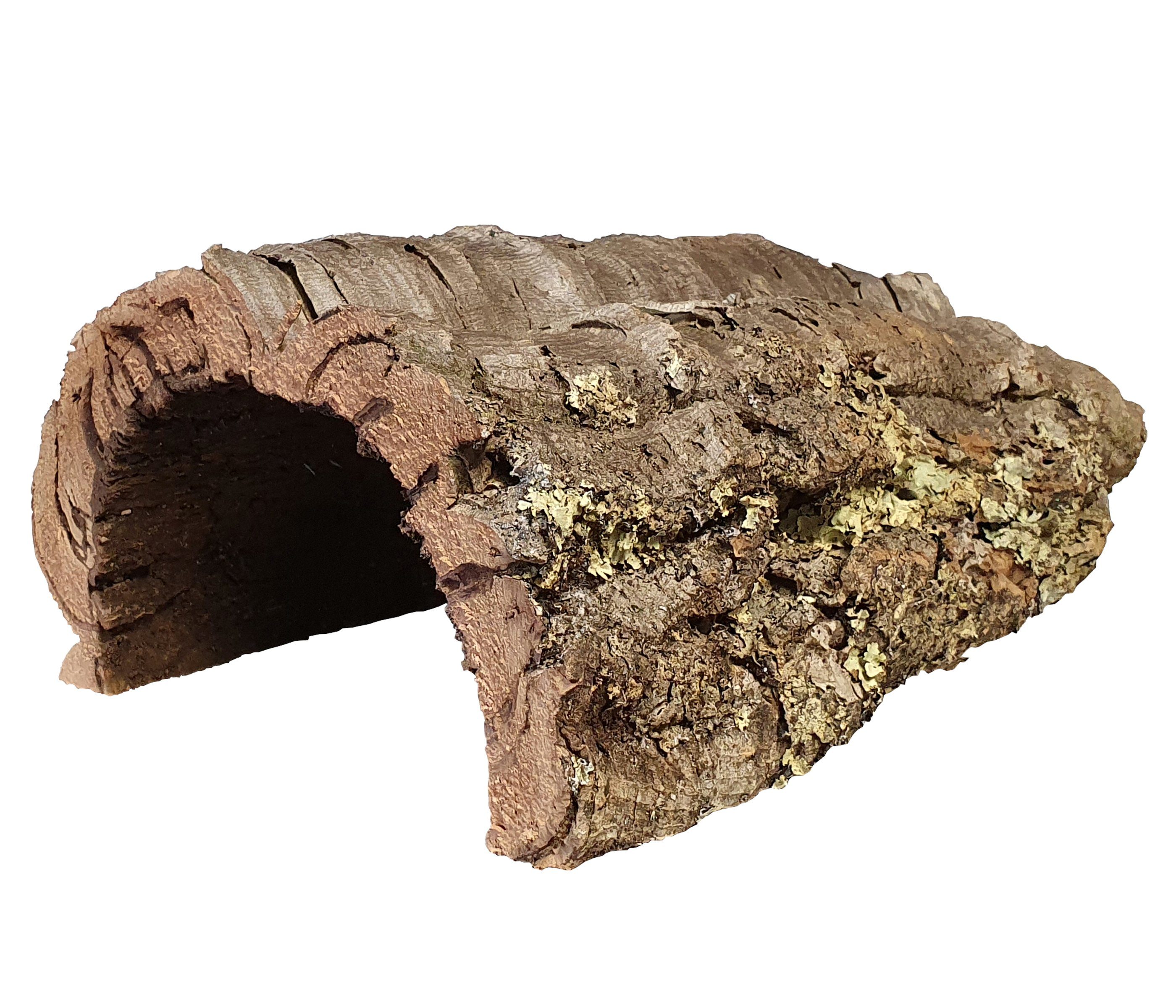 Terrariendeko Korkröhre Naturkork ca. Ø 20-30 cm Breite 25-55 cm
