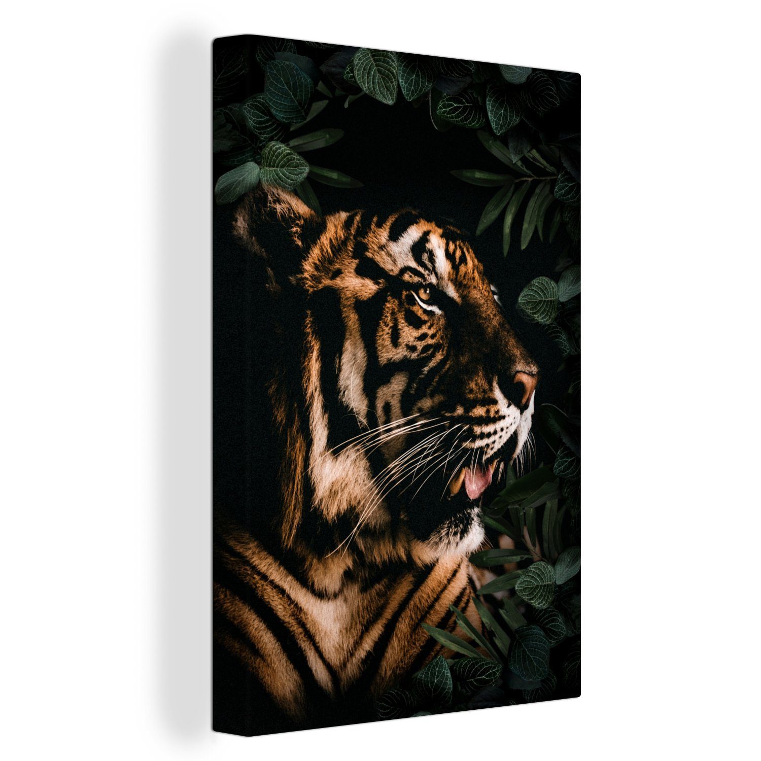 Tiger Zackenaufhänger, (1 fertig Leinwandbild inkl. Pflanzen, bespannt Gemälde, Leinwandbild 20x30 - cm OneMillionCanvasses® - St), Brüllen