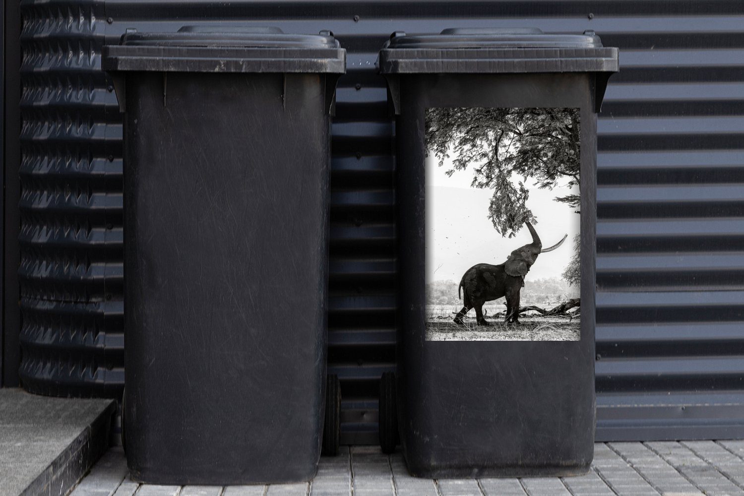 Elefant - Mülltonne, Tiere Abfalbehälter Container, Sticker, Wandsticker - MuchoWow - Baum und Mülleimer-aufkleber, Schwarz St), (1 weiß